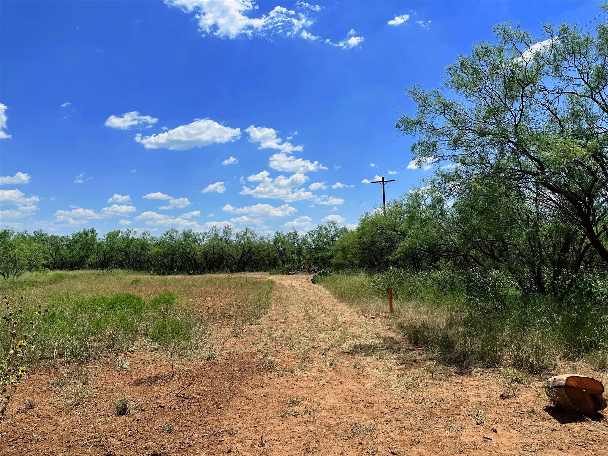 Unimproved Land For Sale in Jones County , TBD (East Tract) County Road 356, Anson, Texas 79501, 0, 0, Garage spaces, 0 Sqft, built in 0, Price $204,225, mls#21277686, Real Estate Agent in Anson, Homes For Sale in Jones county, Homes For Sale in Anson, Realtor in Anson Texas, Real Estate Brokerage Independent Realty Texas, Luminita Cordes Realtor