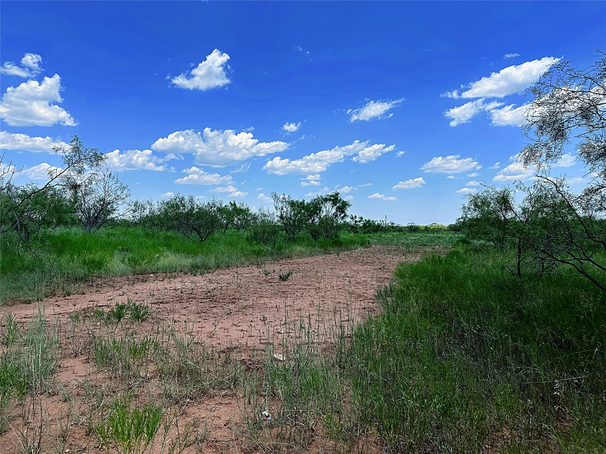 Unimproved Land For Sale in Jones County , TBD (East Tract) County Road 356, Anson, Texas 79501, 0, 0, Garage spaces, 0 Sqft, built in 0, Price $204,225, mls#21277686, Real Estate Agent in Anson, Homes For Sale in Jones county, Homes For Sale in Anson, Realtor in Anson Texas, Real Estate Brokerage Independent Realty Texas, Luminita Cordes Realtor