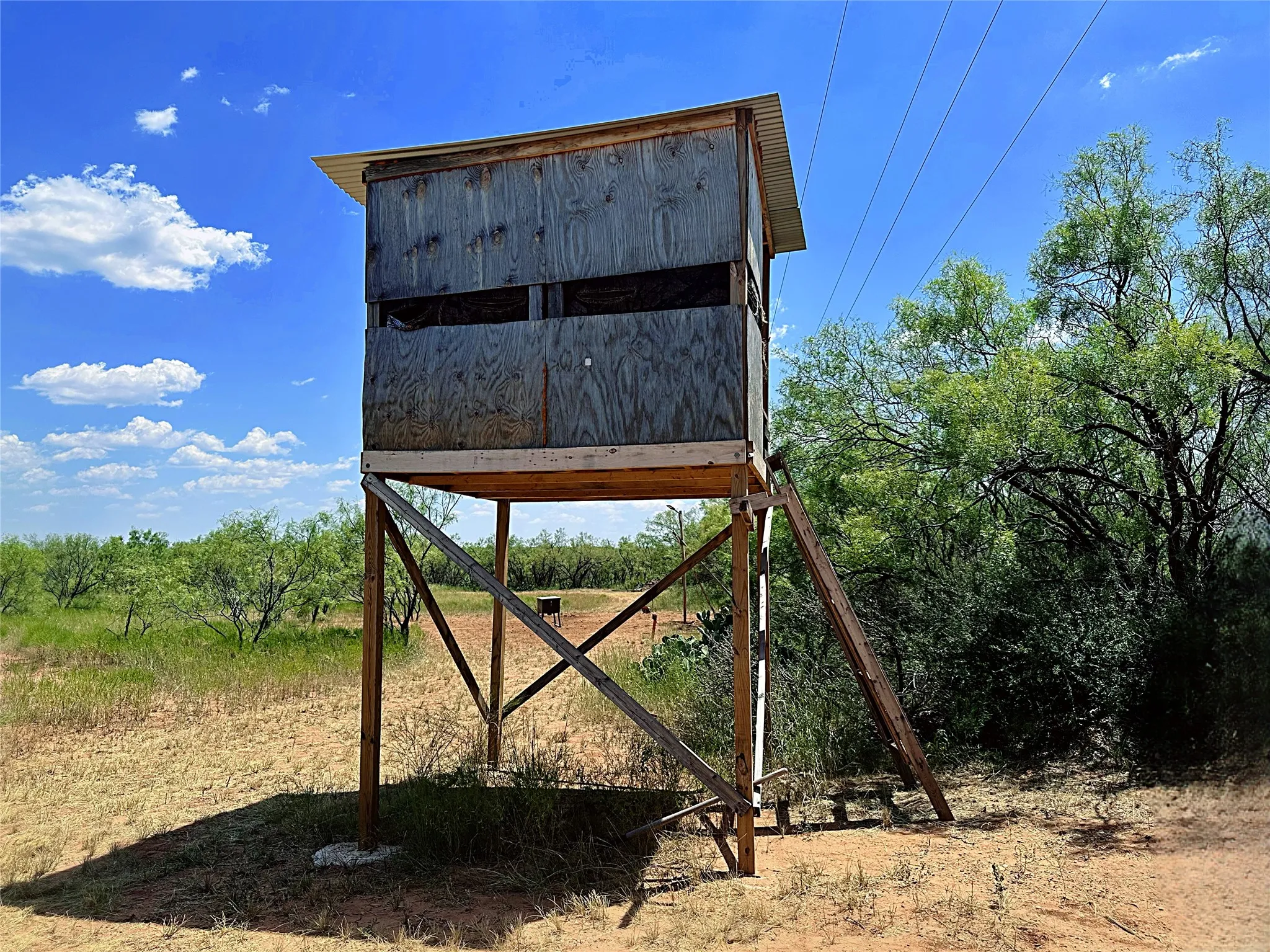 Unimproved Land For Sale in Jones County , TBD (East Tract) County Road 356, Anson, Texas 79501, 0, 0, Garage spaces, 0 Sqft, built in 0, Price $204,225, mls#21277686, Real Estate Agent in Anson, Homes For Sale in Jones county, Homes For Sale in Anson, Realtor in Anson Texas, Real Estate Brokerage Independent Realty Texas, Luminita Cordes Realtor