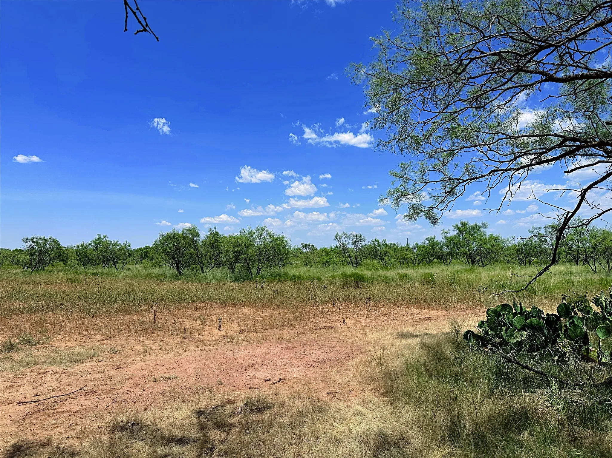 Unimproved Land For Sale in Jones County , TBD (East Tract) County Road 356, Anson, Texas 79501, 0, 0, Garage spaces, 0 Sqft, built in 0, Price $204,225, mls#21277686, Real Estate Agent in Anson, Homes For Sale in Jones county, Homes For Sale in Anson, Realtor in Anson Texas, Real Estate Brokerage Independent Realty Texas, Luminita Cordes Realtor