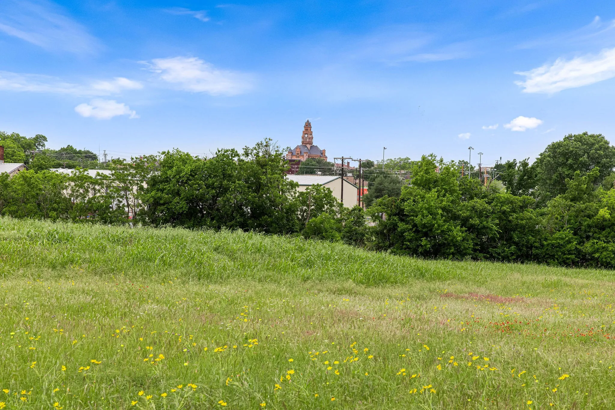 Unimproved Land For Sale in Wise County , 401 N Newark Street, Decatur, Texas 76234, 0, 0, Garage spaces, 0 Sqft, built in 0, Price $480,000, mls#21278146, Real Estate Agent in Decatur, Homes For Sale in Wise county, Homes For Sale in Decatur, Realtor in Decatur Texas, Real Estate Brokerage Independent Realty Texas, Luminita Cordes Realtor
