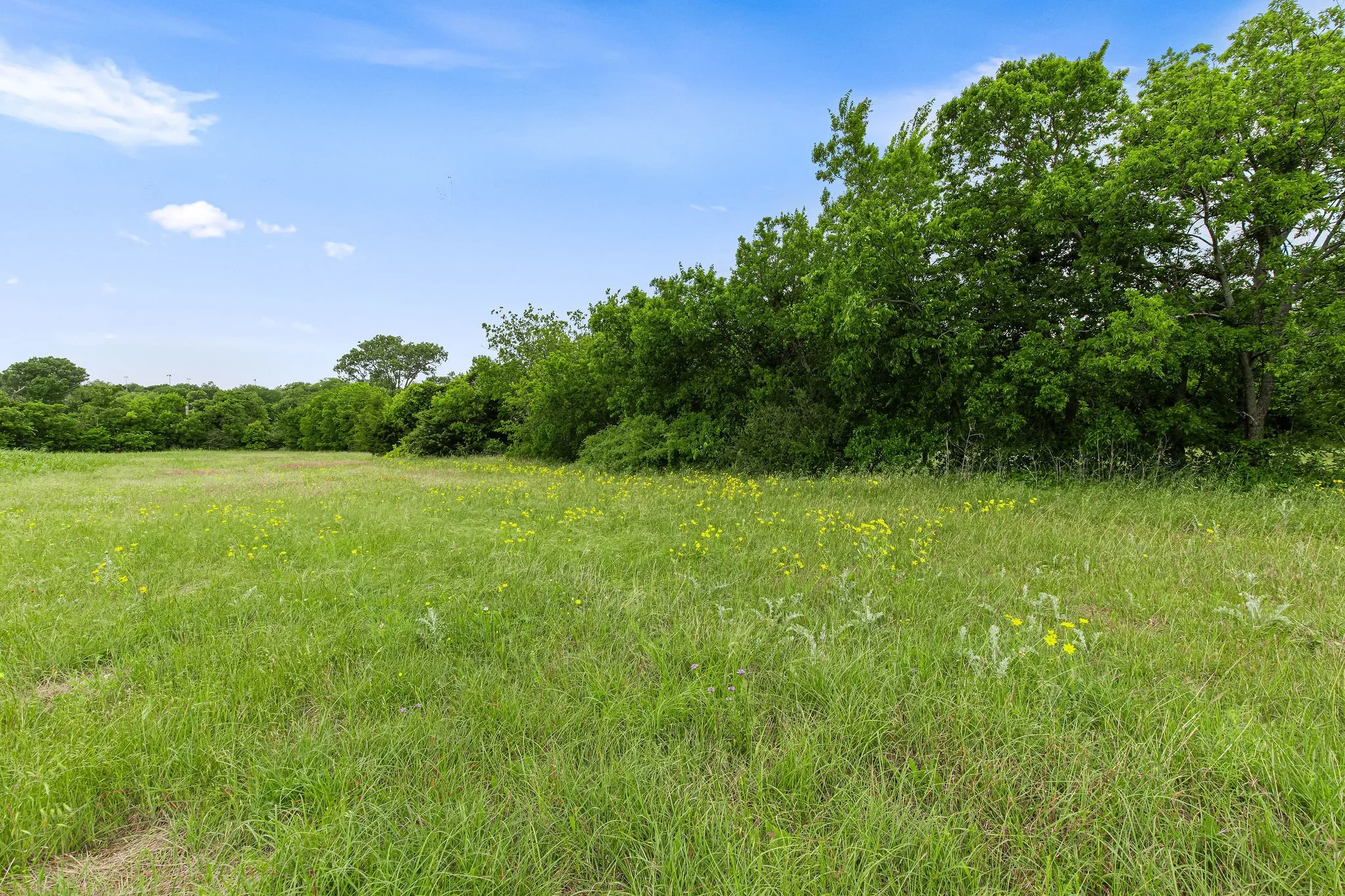 Unimproved Land For Sale in Wise County , 401 N Newark Street, Decatur, Texas 76234, 0, 0, Garage spaces, 0 Sqft, built in 0, Price $480,000, mls#21278146, Real Estate Agent in Decatur, Homes For Sale in Wise county, Homes For Sale in Decatur, Realtor in Decatur Texas, Real Estate Brokerage Independent Realty Texas, Luminita Cordes Realtor