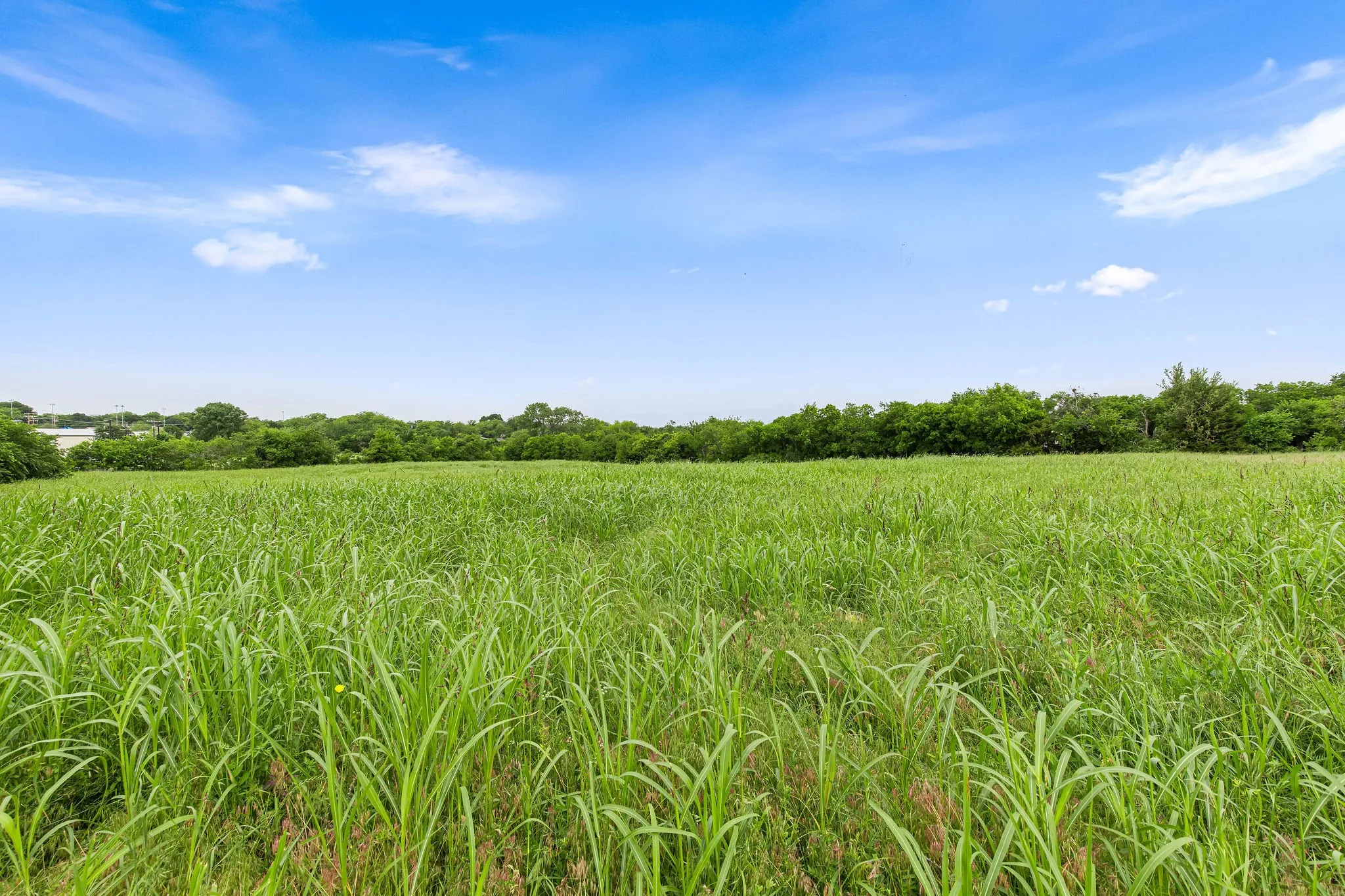 Unimproved Land For Sale in Wise County , 401 N Newark Street, Decatur, Texas 76234, 0, 0, Garage spaces, 0 Sqft, built in 0, Price $480,000, mls#21278146, Real Estate Agent in Decatur, Homes For Sale in Wise county, Homes For Sale in Decatur, Realtor in Decatur Texas, Real Estate Brokerage Independent Realty Texas, Luminita Cordes Realtor