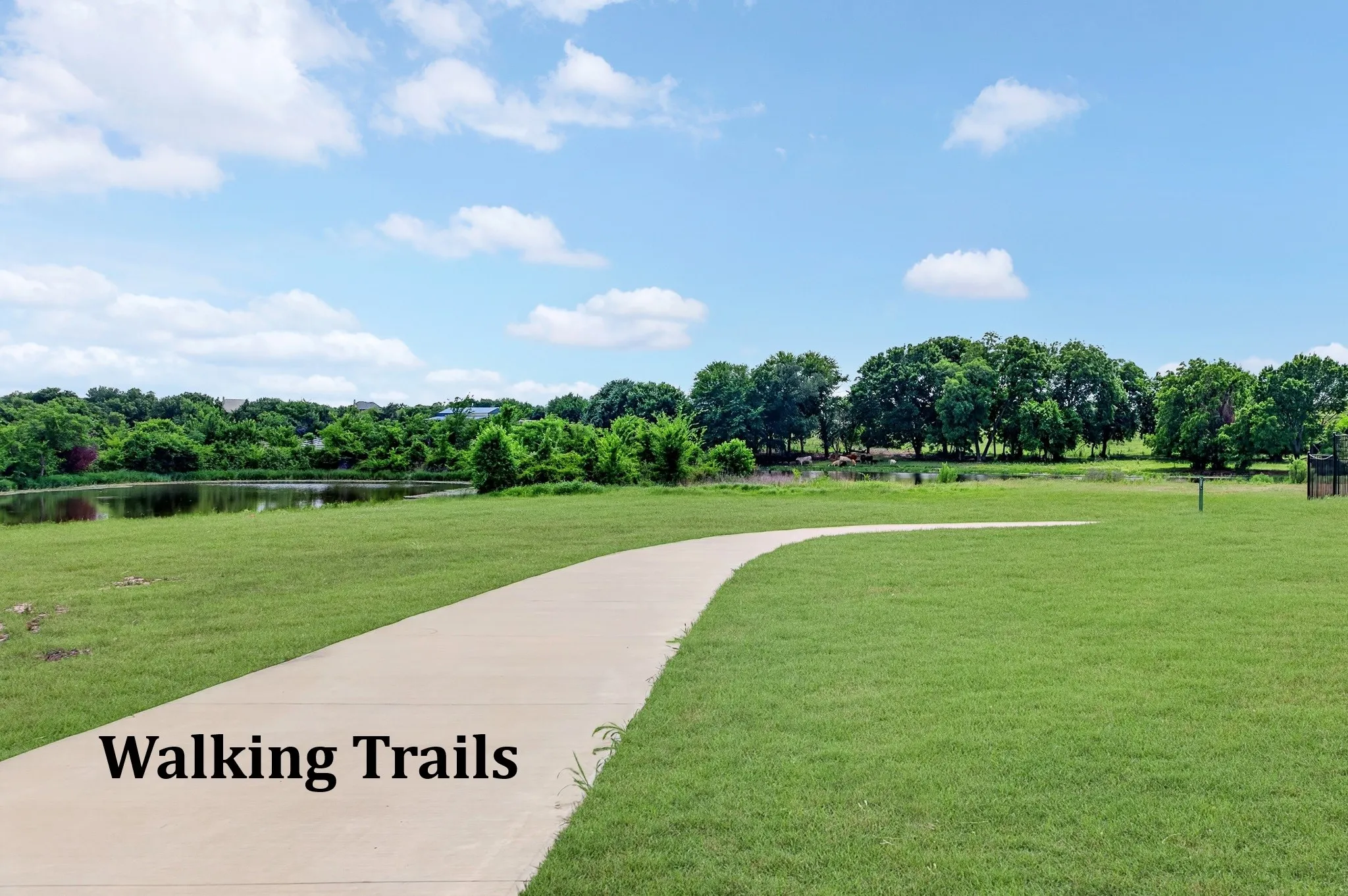 Walking Trails in the neighborhood!