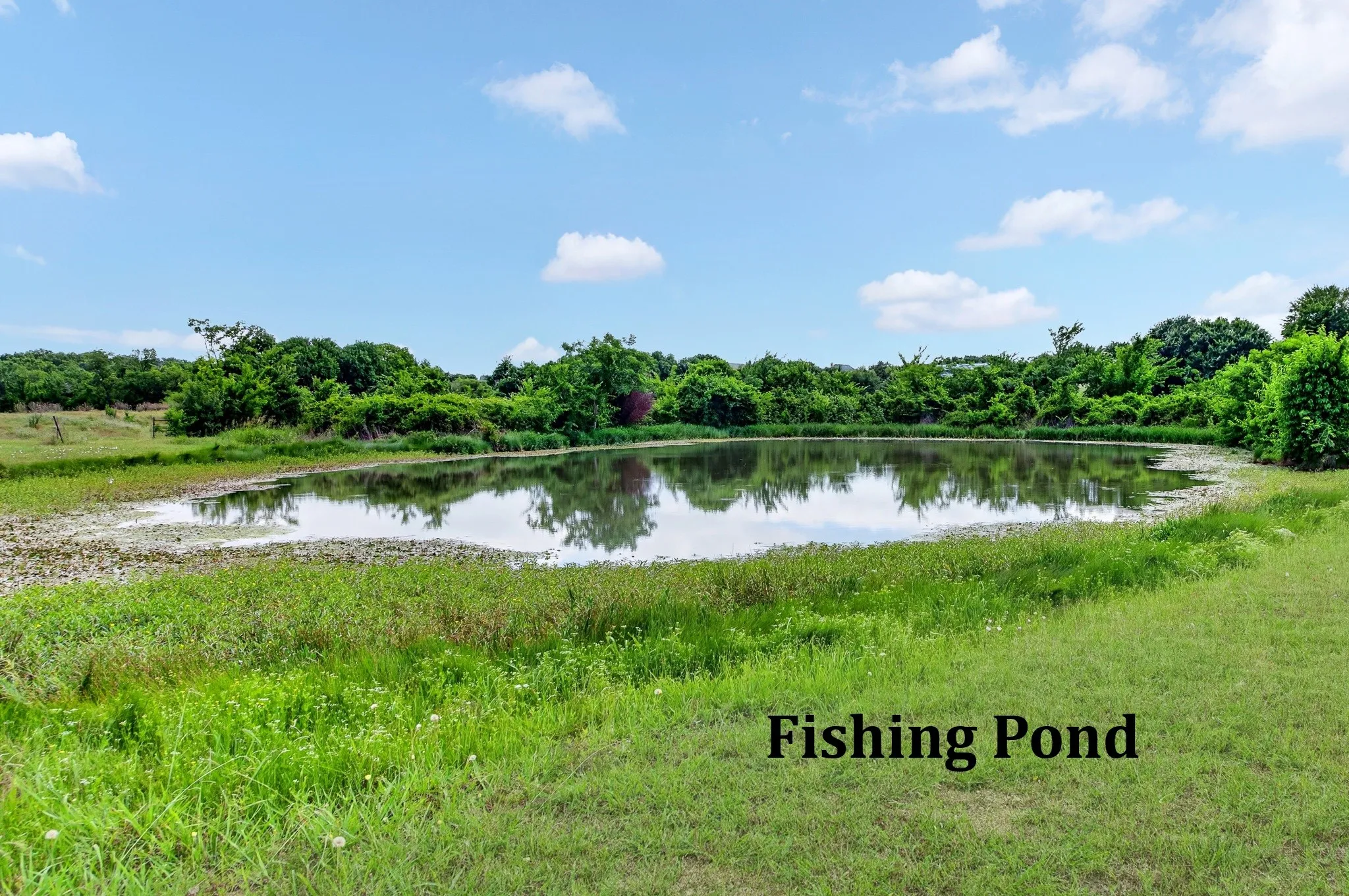 Neighborhood fishing pond!