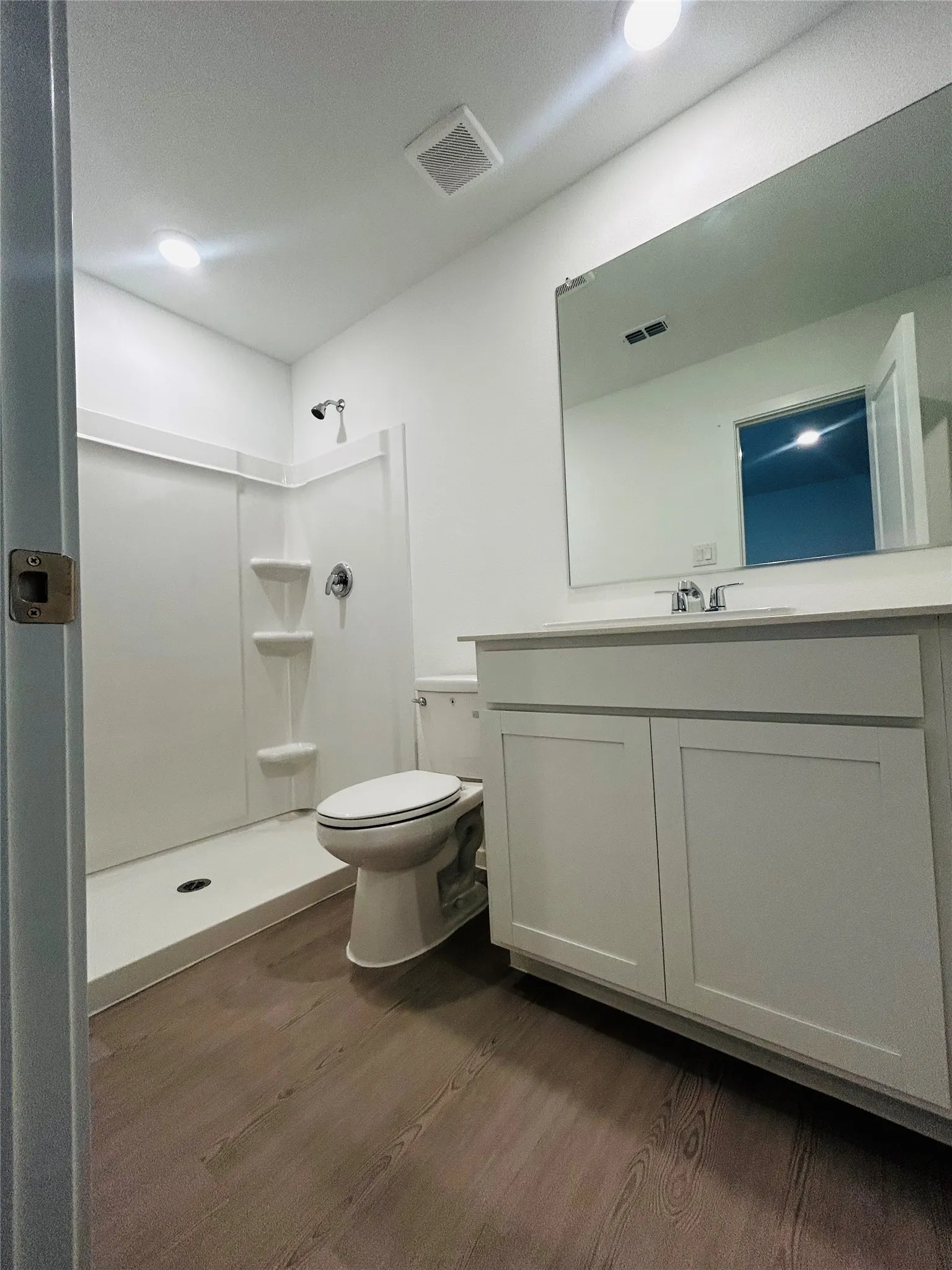 Walk-in shower with integrated shelving, single vanity with shaker-style cabinetry, contemporary mirror, and wood-finish flooring