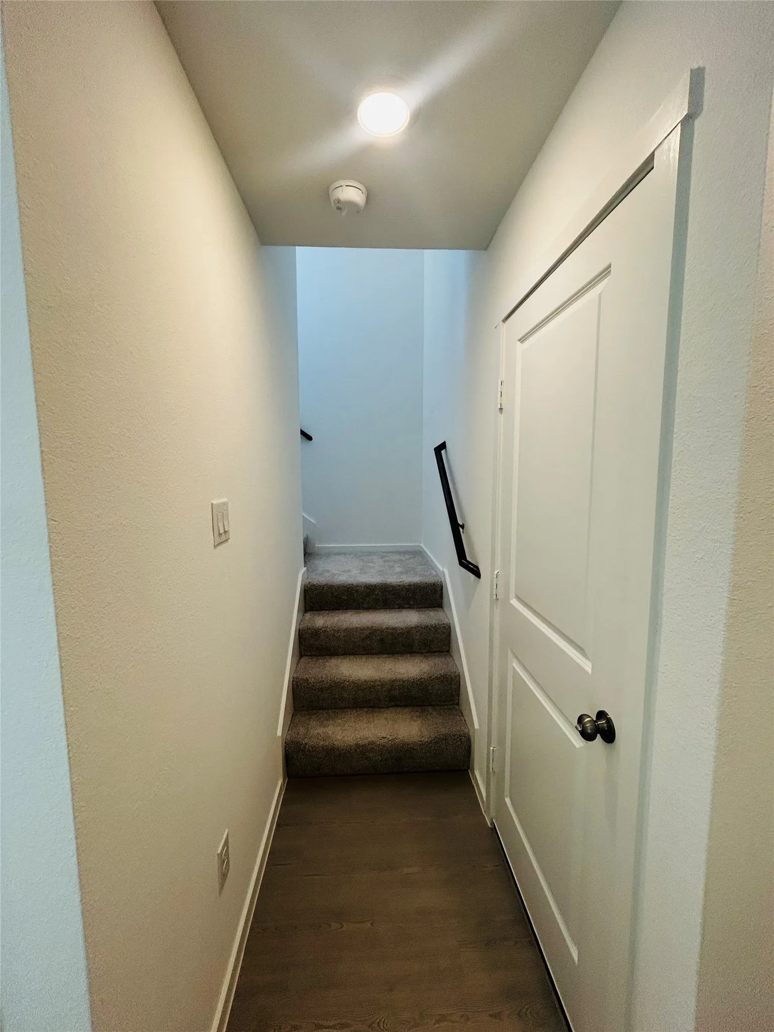 Wood-finish flooring, carpeted staircase, paneled interior door, and modern overhead lighting