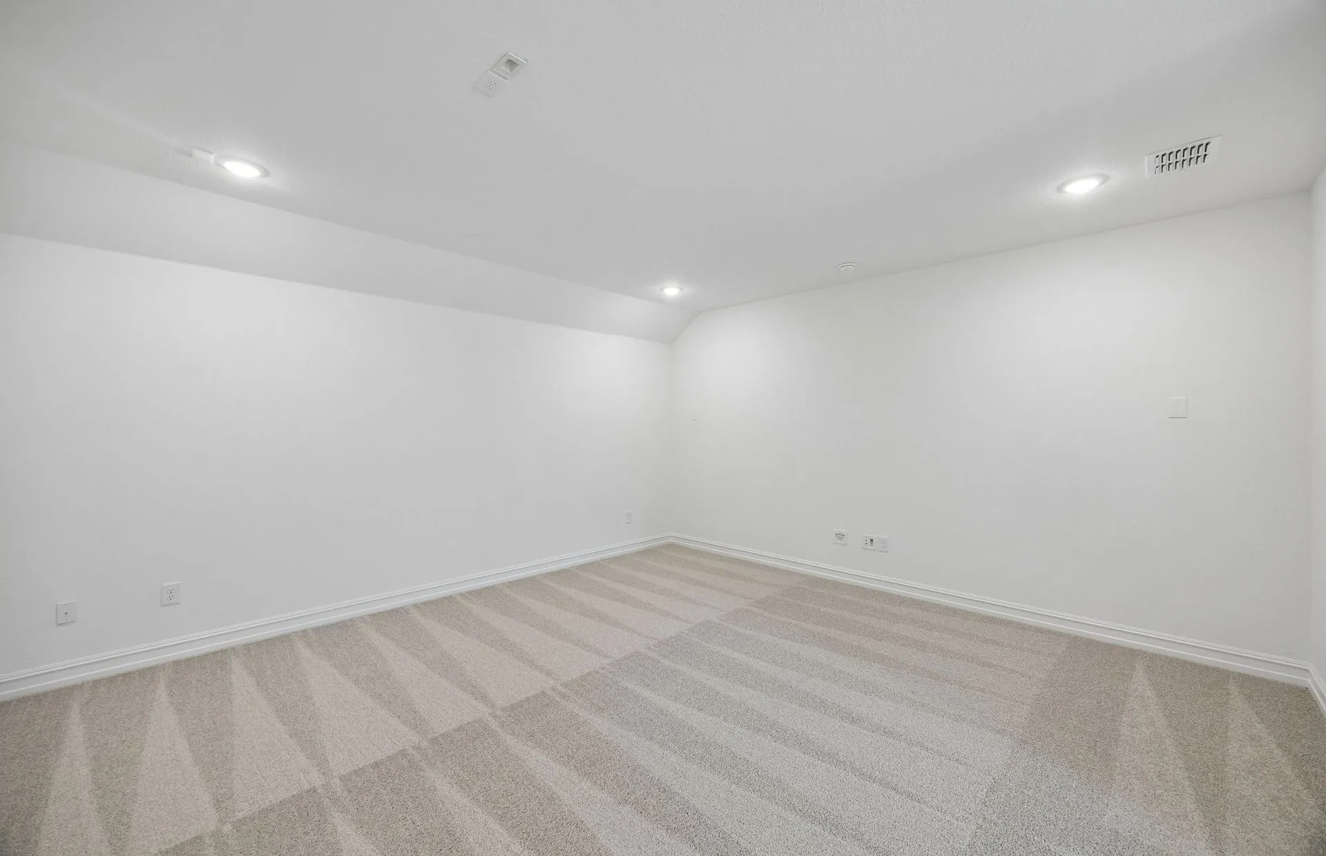 Spacious media room