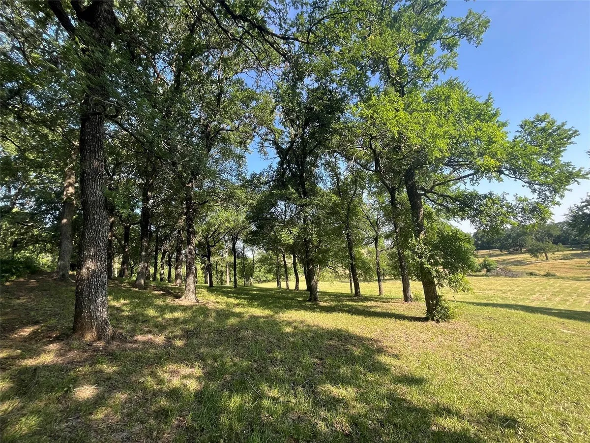 Improved Land For Sale in Grayson County , TBD Randell lake Road, Denison, Texas 75020, 0, 0, Garage spaces, 0 Sqft, built in 0, Price $1,200,000, mls#21261263, Real Estate Agent in Denison, Homes For Sale in Grayson county, Homes For Sale in Denison, Realtor in Denison Texas, Real Estate Brokerage Independent Realty Texas, Luminita Cordes Realtor