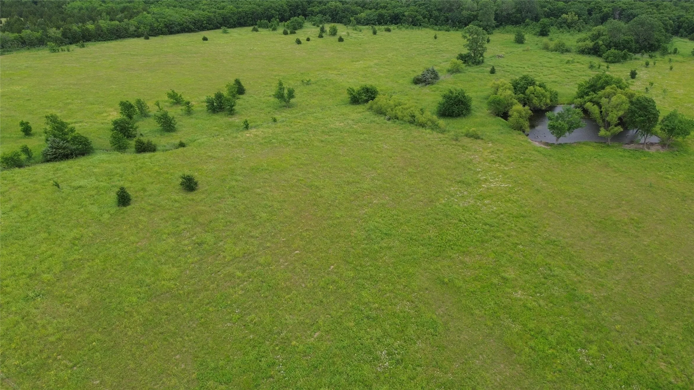 Unimproved Land For Sale in Hunt County , n/a Miles Lane, Greenville, Texas 75401, 0, 0, Garage spaces, 0 Sqft, built in 0, mls#21278620, Real Estate Agent in Greenville, Homes For Sale in Hunt county, Homes For Sale in Greenville, Realtor in Greenville Texas, Real Estate Brokerage Independent Realty Texas, Luminita Cordes Realtor