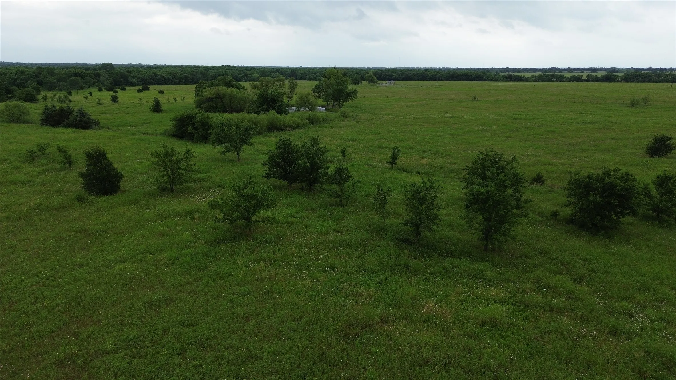 Unimproved Land For Sale in Hunt County , n/a Miles Lane, Greenville, Texas 75401, 0, 0, Garage spaces, 0 Sqft, built in 0, mls#21278620, Real Estate Agent in Greenville, Homes For Sale in Hunt county, Homes For Sale in Greenville, Realtor in Greenville Texas, Real Estate Brokerage Independent Realty Texas, Luminita Cordes Realtor