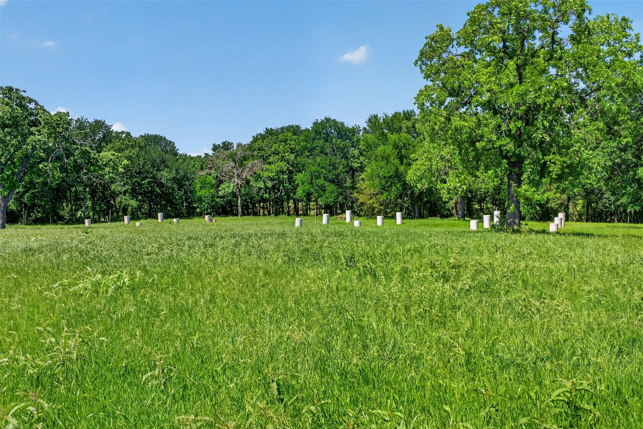 Unimproved Land For Sale in Wise County , 464 CR 1270, Alvord, Texas 76255, 0, 0, Garage spaces, 0 Sqft, built in 0, Price $350,000, mls#21278617, Real Estate Agent in Alvord, Homes For Sale in Wise county, Homes For Sale in Alvord, Realtor in Alvord Texas, Real Estate Brokerage Independent Realty Texas, Luminita Cordes Realtor