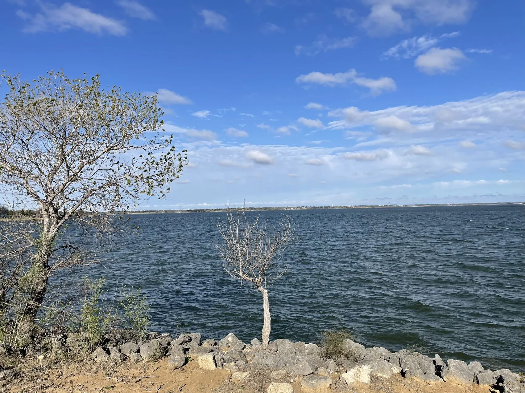 Improved Land For Sale in Collin County , Lot 7 @ Trl Rdg Drive, Wylie, Texas 75098, 0, 0, Garage spaces, 0 Sqft, built in 0, Price $159,000, mls#21278725, Real Estate Agent in Wylie, Homes For Sale in Collin county, Homes For Sale in Wylie, Realtor in Wylie Texas, Real Estate Brokerage Independent Realty Texas, Luminita Cordes Realtor