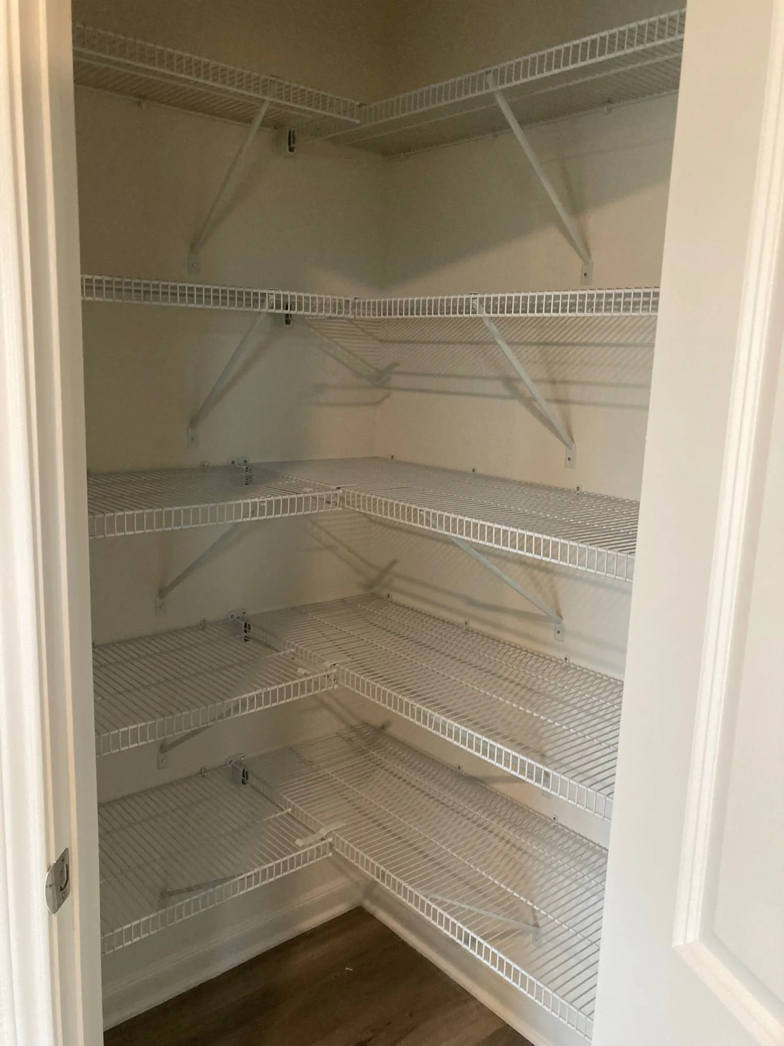 Corner pantry featuring multiple levels of wire shelving and wood-finish flooring