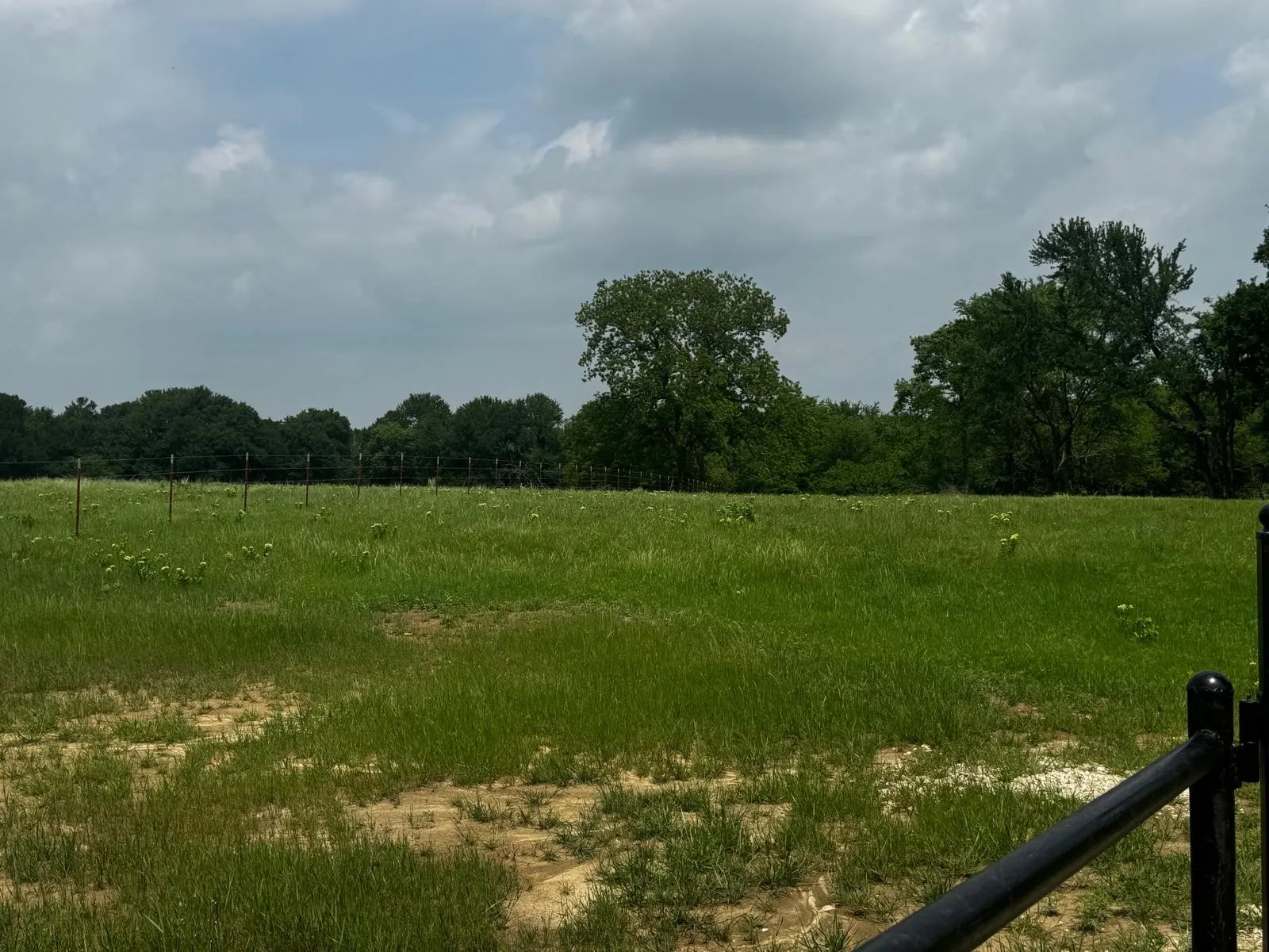 Unimproved Land For Sale in Grayson County , TBD State Hwy 56 State Hwy 56, Whitesboro, Texas 76273, 0, 0, Garage spaces, 0 Sqft, built in 0, Price $599,000, mls#21278872, Real Estate Agent in Whitesboro, Homes For Sale in Grayson county, Homes For Sale in Whitesboro, Realtor in Whitesboro Texas, Real Estate Brokerage Independent Realty Texas, Luminita Cordes Realtor