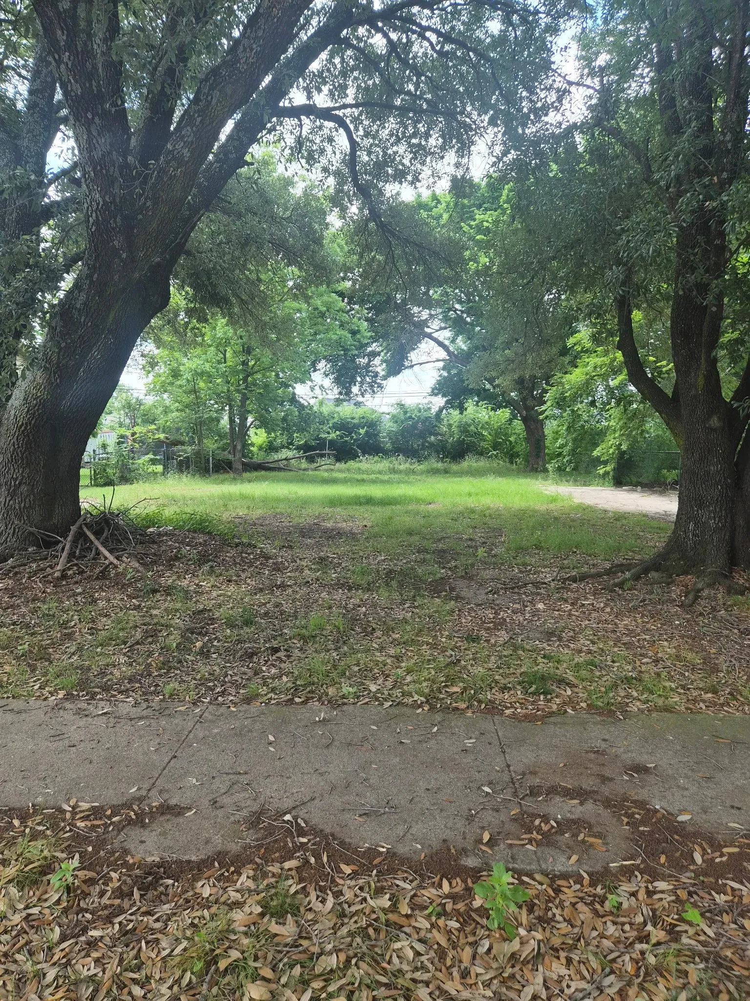 Improved Land For Sale in Hunt County , 3507 Briscoe Street, Greenville, Texas 75401, 0, 0, Garage spaces, 0 Sqft, built in 0, mls#21278323, Real Estate Agent in Greenville, Homes For Sale in Hunt county, Homes For Sale in Greenville, Realtor in Greenville Texas, Real Estate Brokerage Independent Realty Texas, Luminita Cordes Realtor