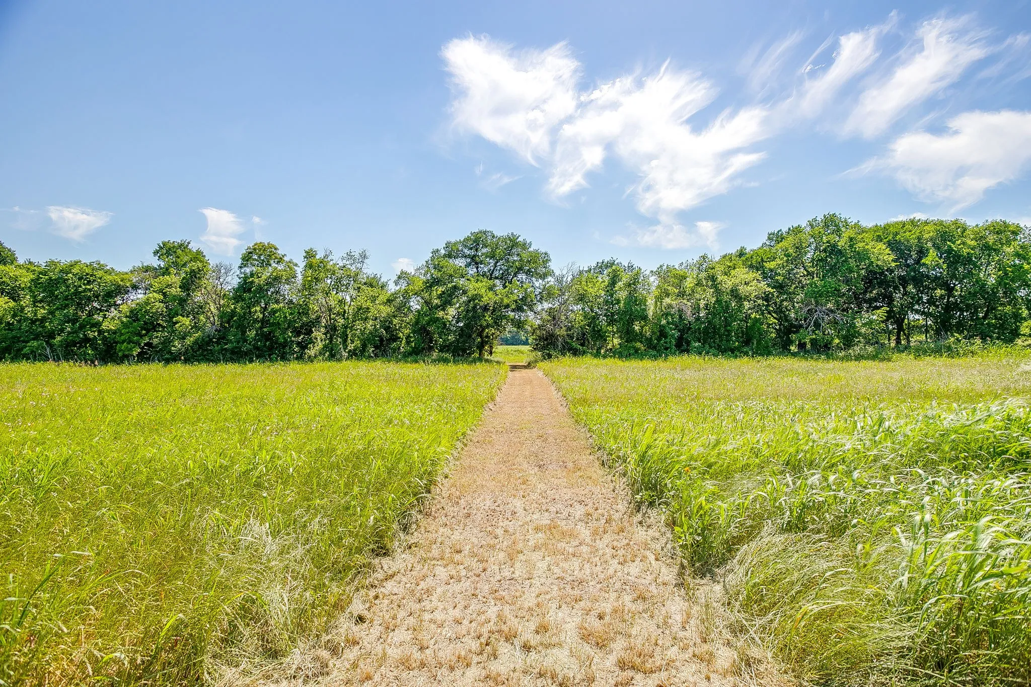 Recently cut path to back acreage