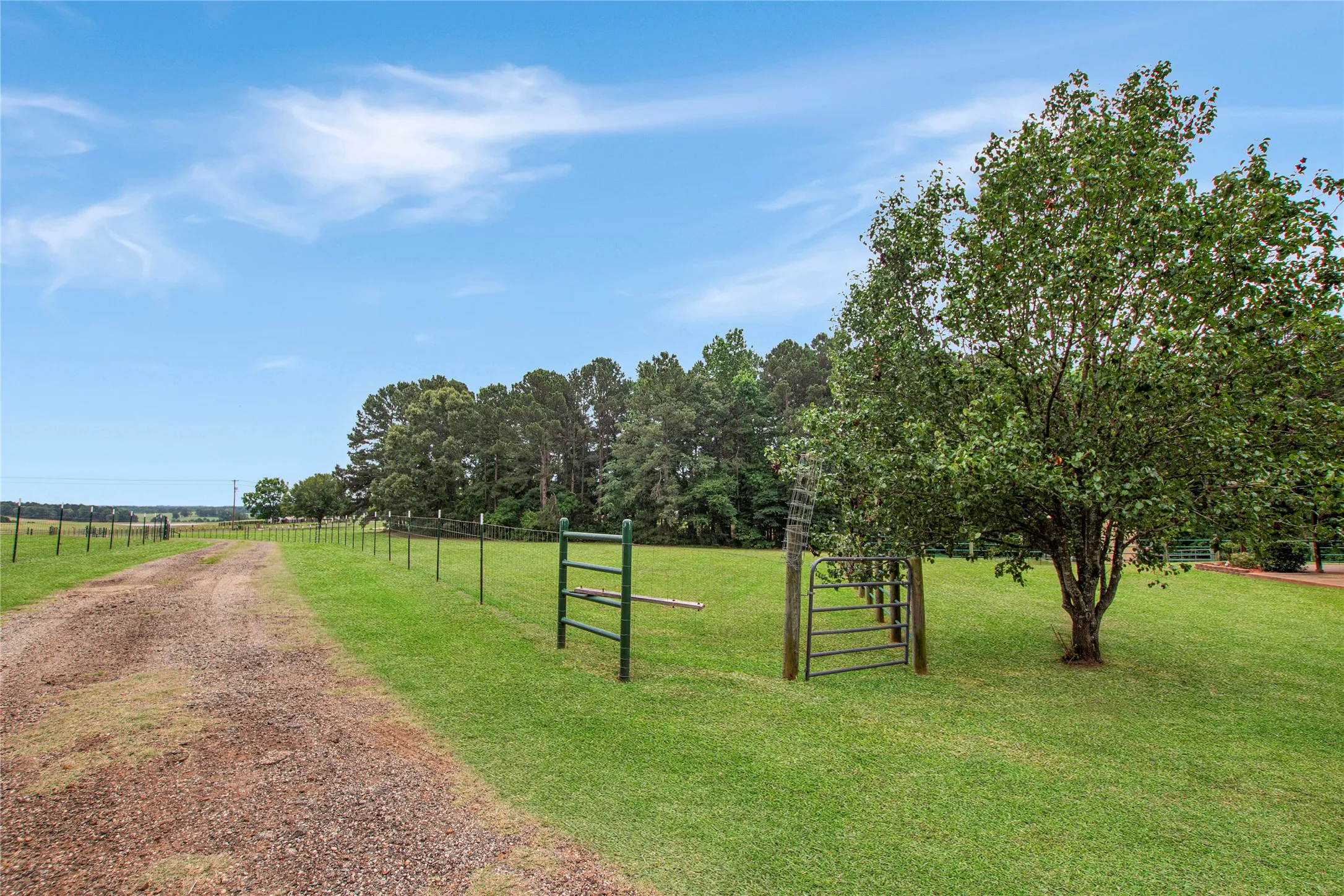Single Family Residence For Sale in Harrison County , 6233 Curtis Black Road, Hallsville, Texas 75650, 4 Bedroom, 3 Bathroom, Garage spaces, 2,783 Sqft, built in 1988, mls#21273748, Real Estate Agent in Hallsville, Homes For Sale in Harrison county, Homes For Sale in Hallsville, Realtor in Hallsville Texas, Real Estate Brokerage Independent Realty Texas, Luminita Cordes Realtor