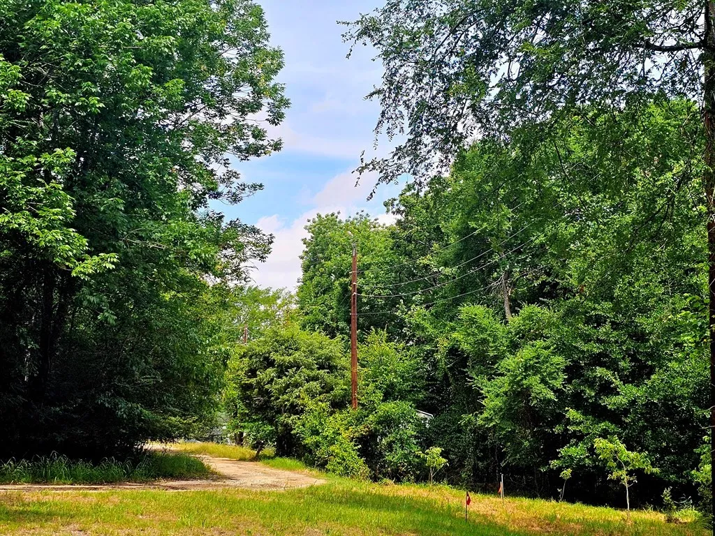 Improved Land For Sale in Henderson County , TBD Oakwood Circle, Mabank, Texas 75156, 0, 0, Garage spaces, 0 Sqft, built in 0, mls#21274402, Real Estate Agent in Mabank, Homes For Sale in Henderson county, Homes For Sale in Mabank, Realtor in Mabank Texas, Real Estate Brokerage Independent Realty Texas, Luminita Cordes Realtor