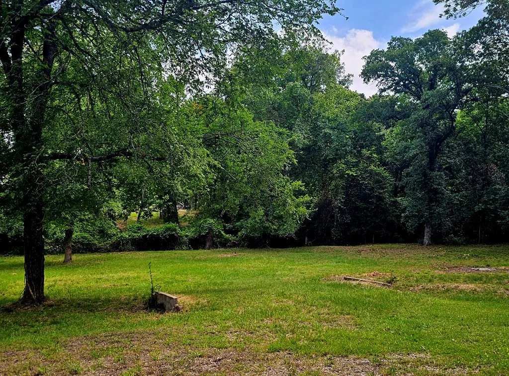 Improved Land For Sale in Henderson County , TBD Oakwood Circle, Mabank, Texas 75156, 0, 0, Garage spaces, 0 Sqft, built in 0, mls#21274402, Real Estate Agent in Mabank, Homes For Sale in Henderson county, Homes For Sale in Mabank, Realtor in Mabank Texas, Real Estate Brokerage Independent Realty Texas, Luminita Cordes Realtor