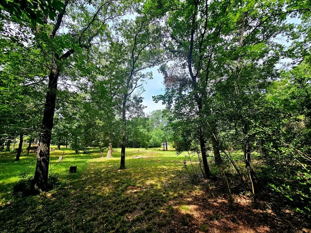 Improved Land For Sale in Henderson County , TBD Oakwood Circle, Mabank, Texas 75156, 0, 0, Garage spaces, 0 Sqft, built in 0, mls#21274402, Real Estate Agent in Mabank, Homes For Sale in Henderson county, Homes For Sale in Mabank, Realtor in Mabank Texas, Real Estate Brokerage Independent Realty Texas, Luminita Cordes Realtor