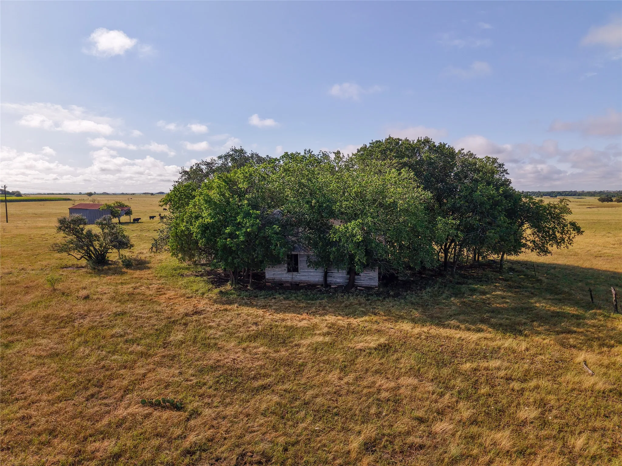 Unimproved Land For Sale in Mc Lennan County , TBD Compton Road, Crawford, Texas 76638, 0, 0, Garage spaces, 0 Sqft, built in 0, Price $1,890,000, mls#21279063, Real Estate Agent in Crawford, Homes For Sale in Mc Lennan county, Homes For Sale in Crawford, Realtor in Crawford Texas, Real Estate Brokerage Independent Realty Texas, Luminita Cordes Realtor