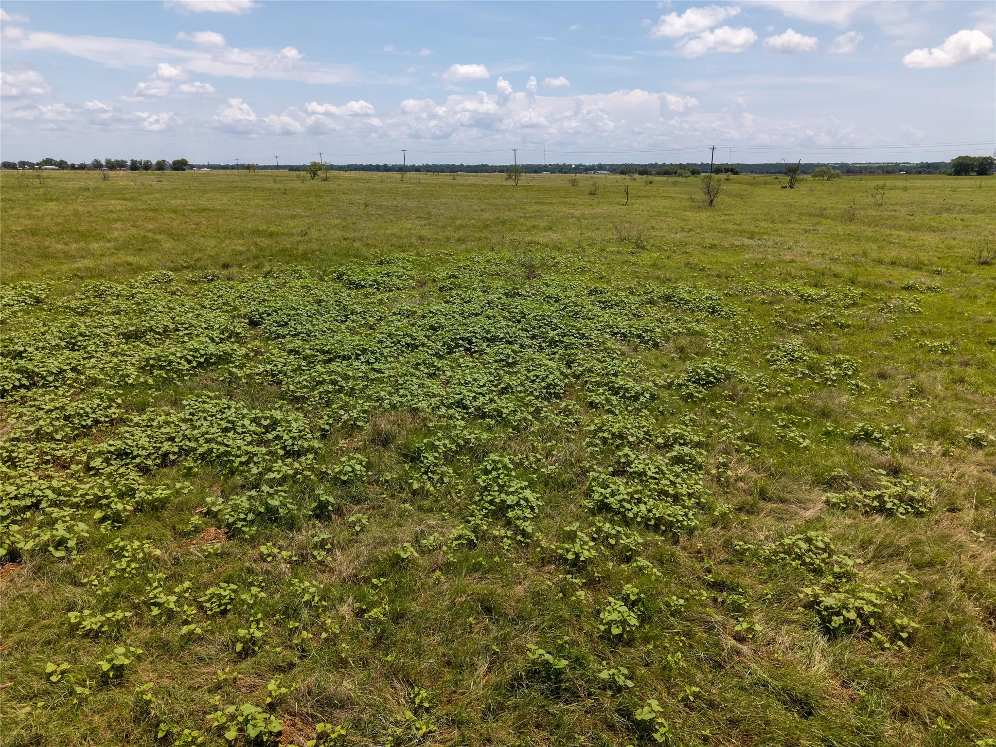 Unimproved Land For Sale in Mc Lennan County , TBD Compton Road, Crawford, Texas 76638, 0, 0, Garage spaces, 0 Sqft, built in 0, Price $1,890,000, mls#21279063, Real Estate Agent in Crawford, Homes For Sale in Mc Lennan county, Homes For Sale in Crawford, Realtor in Crawford Texas, Real Estate Brokerage Independent Realty Texas, Luminita Cordes Realtor