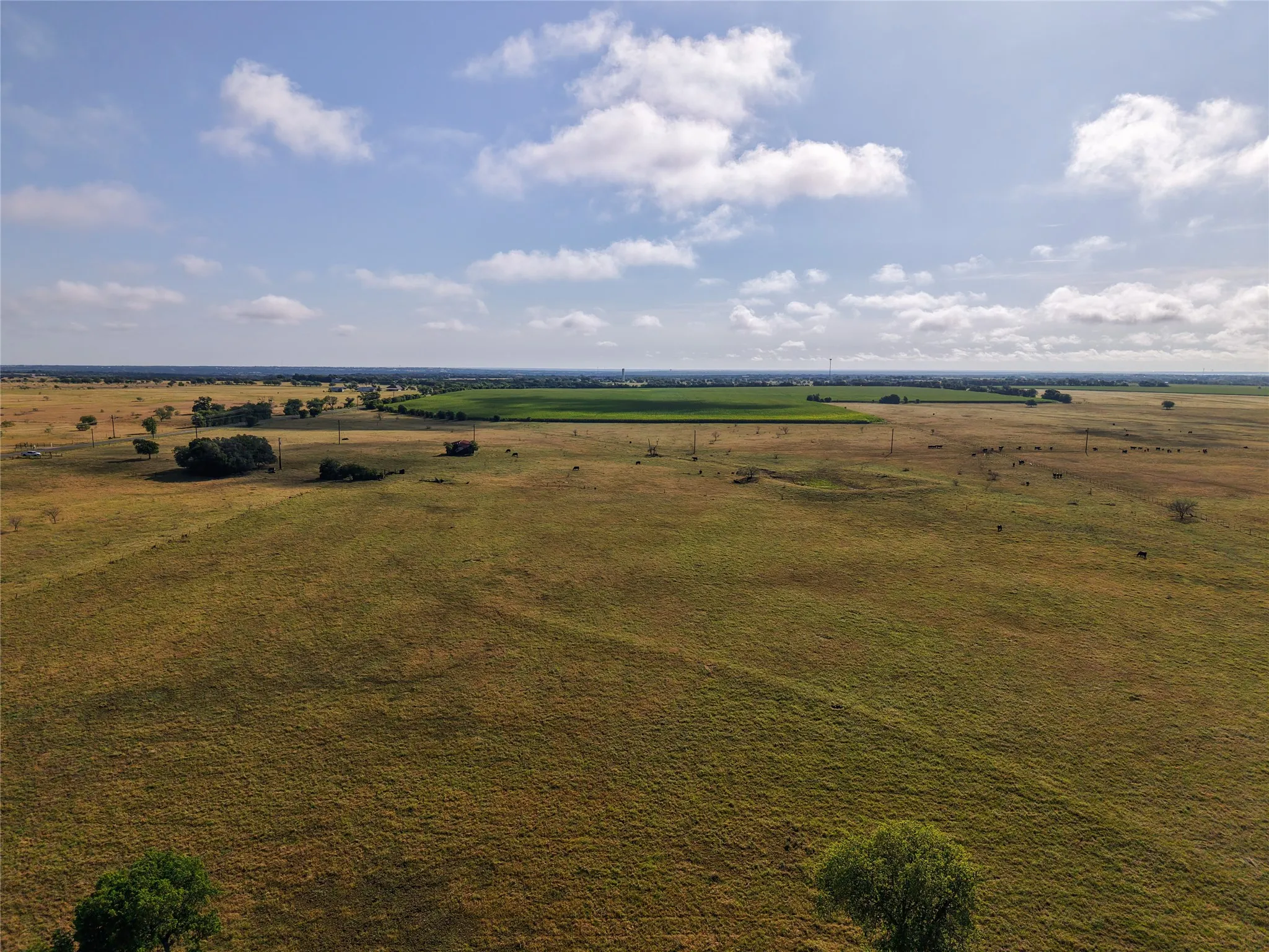 Unimproved Land For Sale in Mc Lennan County , TBD Compton Road, Crawford, Texas 76638, 0, 0, Garage spaces, 0 Sqft, built in 0, Price $1,890,000, mls#21279063, Real Estate Agent in Crawford, Homes For Sale in Mc Lennan county, Homes For Sale in Crawford, Realtor in Crawford Texas, Real Estate Brokerage Independent Realty Texas, Luminita Cordes Realtor