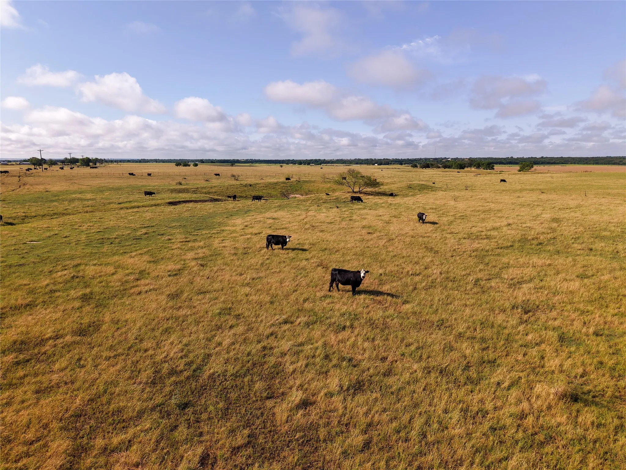 Unimproved Land For Sale in Mc Lennan County , TBD Compton Road, Crawford, Texas 76638, 0, 0, Garage spaces, 0 Sqft, built in 0, Price $1,890,000, mls#21279063, Real Estate Agent in Crawford, Homes For Sale in Mc Lennan county, Homes For Sale in Crawford, Realtor in Crawford Texas, Real Estate Brokerage Independent Realty Texas, Luminita Cordes Realtor