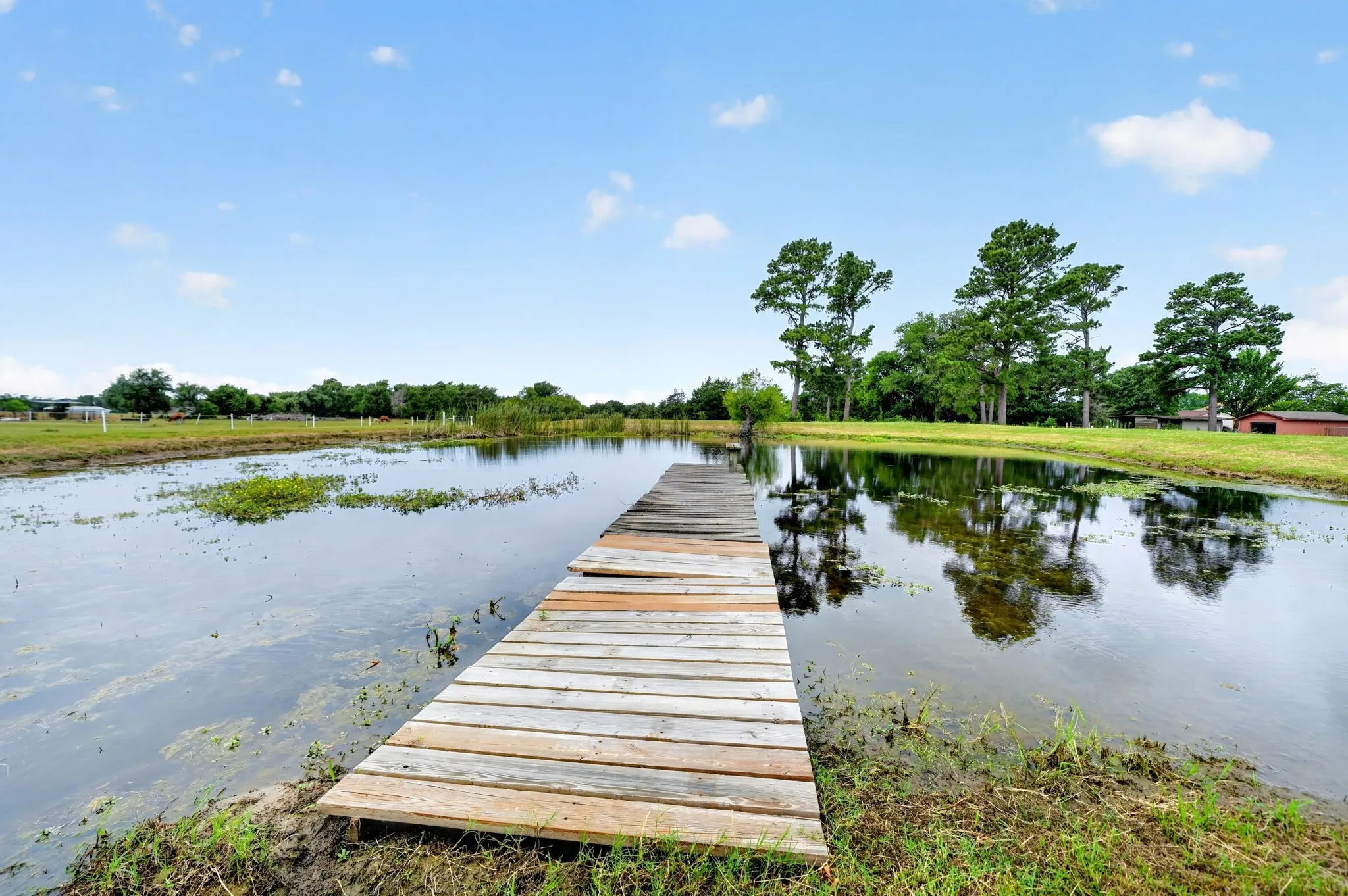 Wooden pier extending over a body of water, bordered by green grass and mature trees