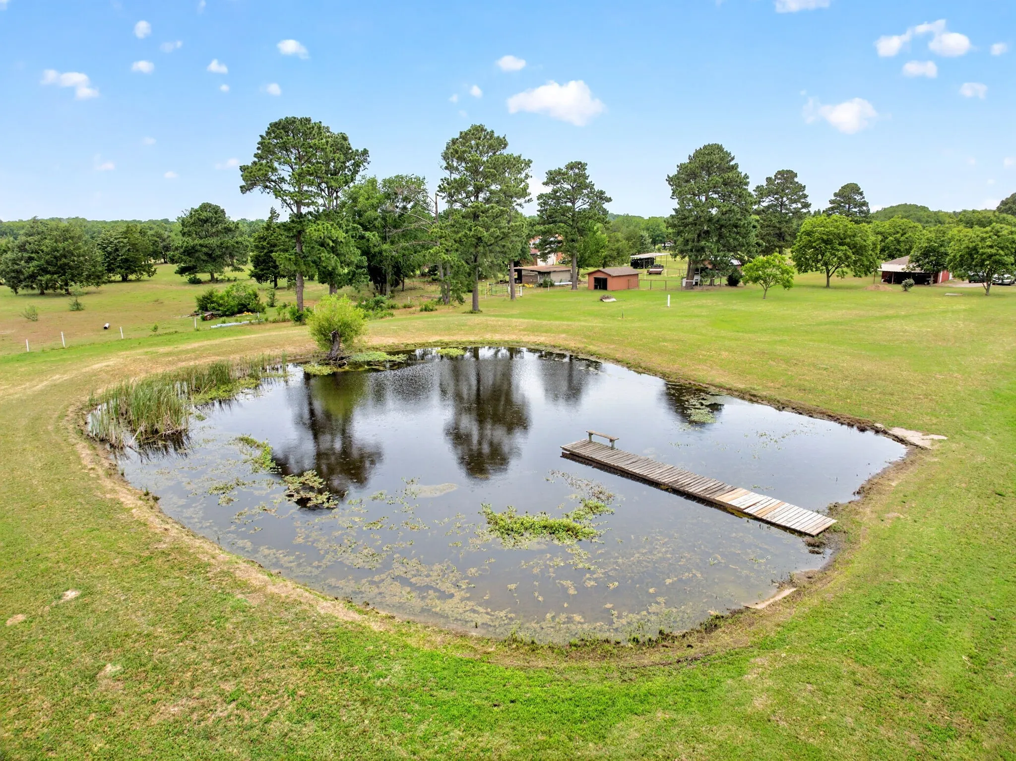 Single Family Residence For Sale in Van Zandt County , 1401 Vz County Road 3411, Wills Point, Texas 75169, 4 Bedroom, 3 Bathroom, 2 Garage spaces, 1,861 Sqft, built in 1984, mls#21274996, Real Estate Agent in Wills Point, Homes For Sale in Van Zandt county, Homes For Sale in Wills Point, Realtor in Wills Point Texas, Real Estate Brokerage Independent Realty Texas, Luminita Cordes Realtor