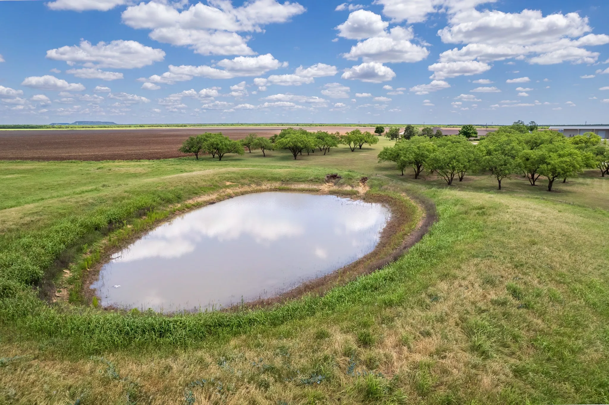 Ranch For Sale in Coleman County , 839 FM 2131, Coleman, Texas 76834, 0, 0, Garage spaces, 0 Sqft, built in 2007, mls#21276318, Real Estate Agent in Coleman, Homes For Sale in Coleman county, Homes For Sale in Coleman, Realtor in Coleman Texas, Real Estate Brokerage Independent Realty Texas, Luminita Cordes Realtor