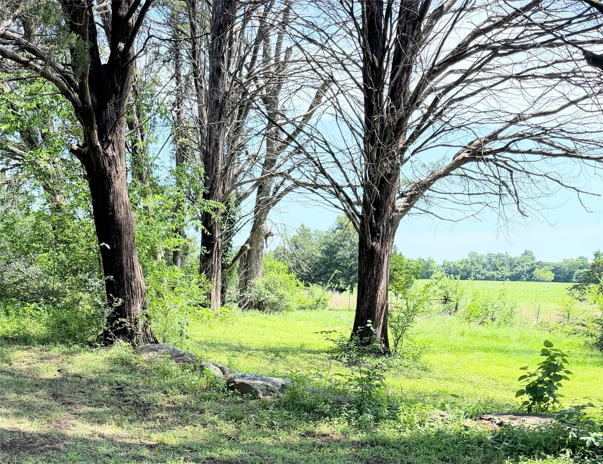 Unimproved Land For Sale in Limestone County , 3 Acres LCR 864, Jewett, Texas 75846, 0, 0, Garage spaces, 0 Sqft, built in 0, mls#21278968, Real Estate Agent in Jewett, Homes For Sale in Limestone county, Homes For Sale in Jewett, Realtor in Jewett Texas, Real Estate Brokerage Independent Realty Texas, Luminita Cordes Realtor