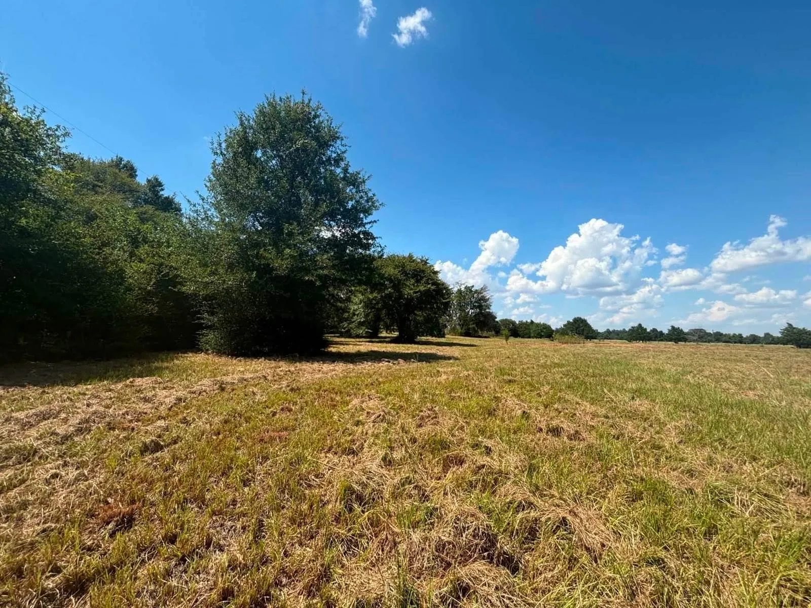 Unimproved Land For Sale in Limestone County , 3 Acres LCR 864, Jewett, Texas 75846, 0, 0, Garage spaces, 0 Sqft, built in 0, mls#21278968, Real Estate Agent in Jewett, Homes For Sale in Limestone county, Homes For Sale in Jewett, Realtor in Jewett Texas, Real Estate Brokerage Independent Realty Texas, Luminita Cordes Realtor