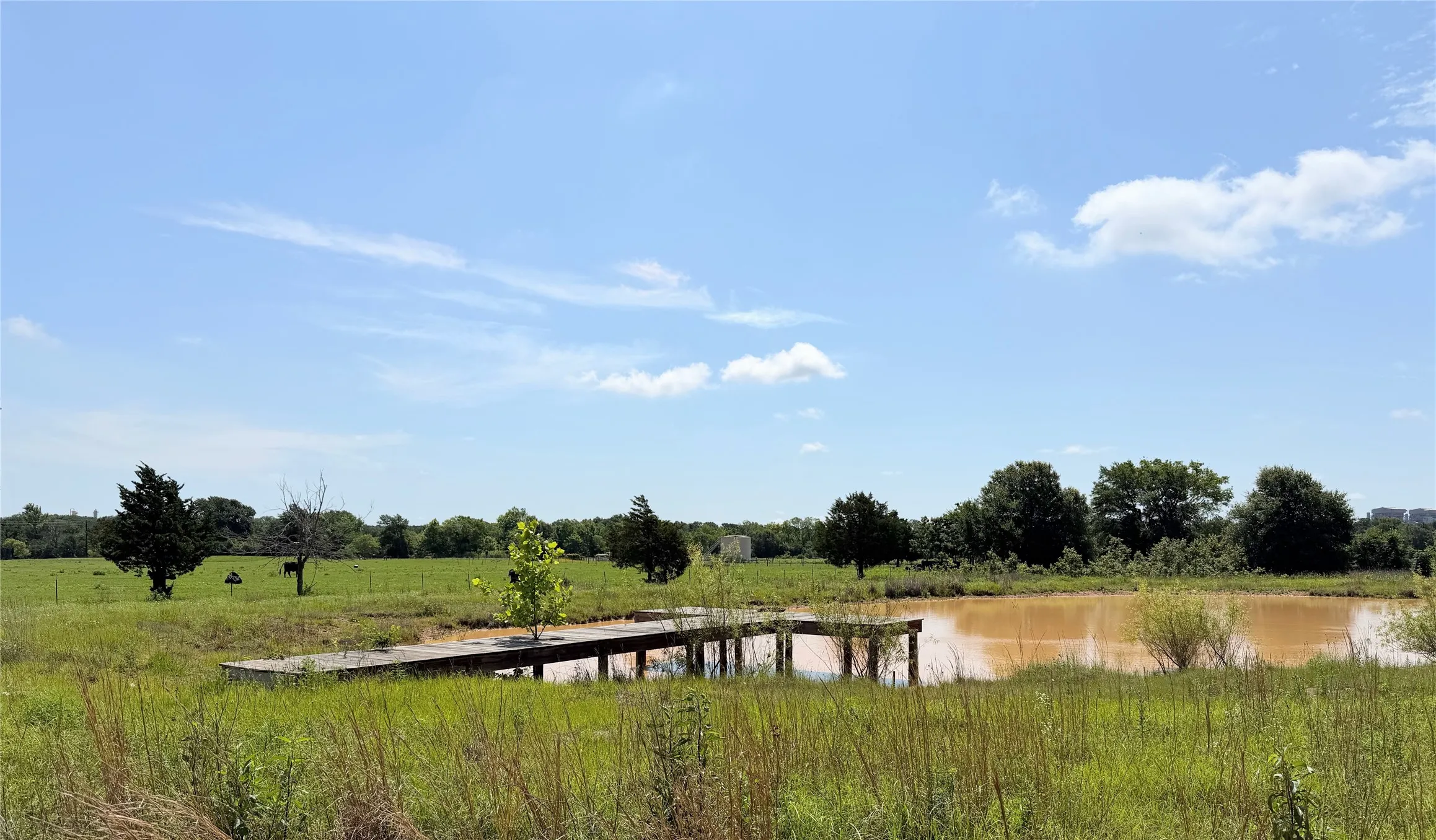 Unimproved Land For Sale in Limestone County , 3 Acres LCR 864, Jewett, Texas 75846, 0, 0, Garage spaces, 0 Sqft, built in 0, mls#21278968, Real Estate Agent in Jewett, Homes For Sale in Limestone county, Homes For Sale in Jewett, Realtor in Jewett Texas, Real Estate Brokerage Independent Realty Texas, Luminita Cordes Realtor