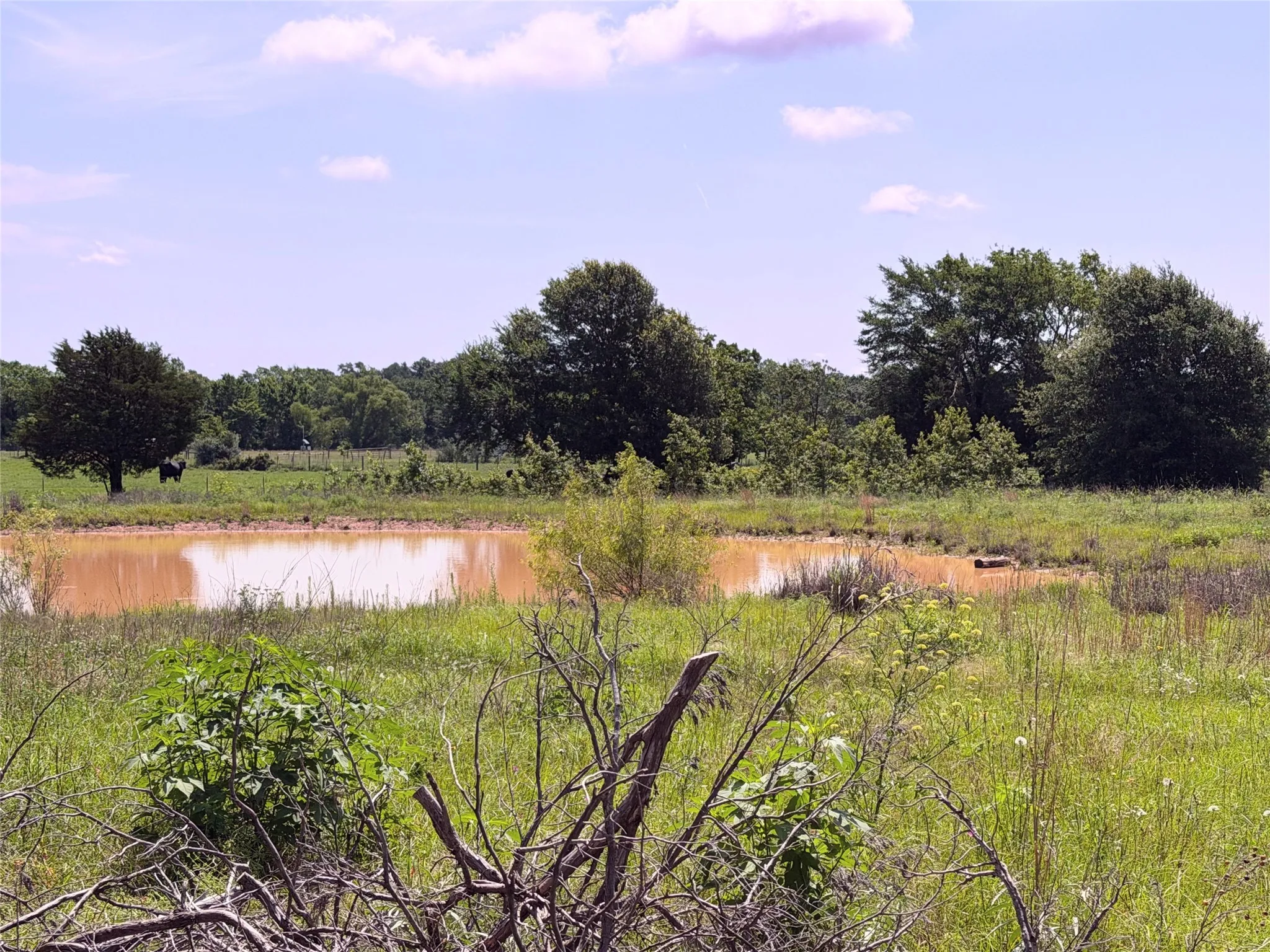 Unimproved Land For Sale in Limestone County , 3 Acres LCR 864, Jewett, Texas 75846, 0, 0, Garage spaces, 0 Sqft, built in 0, mls#21278968, Real Estate Agent in Jewett, Homes For Sale in Limestone county, Homes For Sale in Jewett, Realtor in Jewett Texas, Real Estate Brokerage Independent Realty Texas, Luminita Cordes Realtor