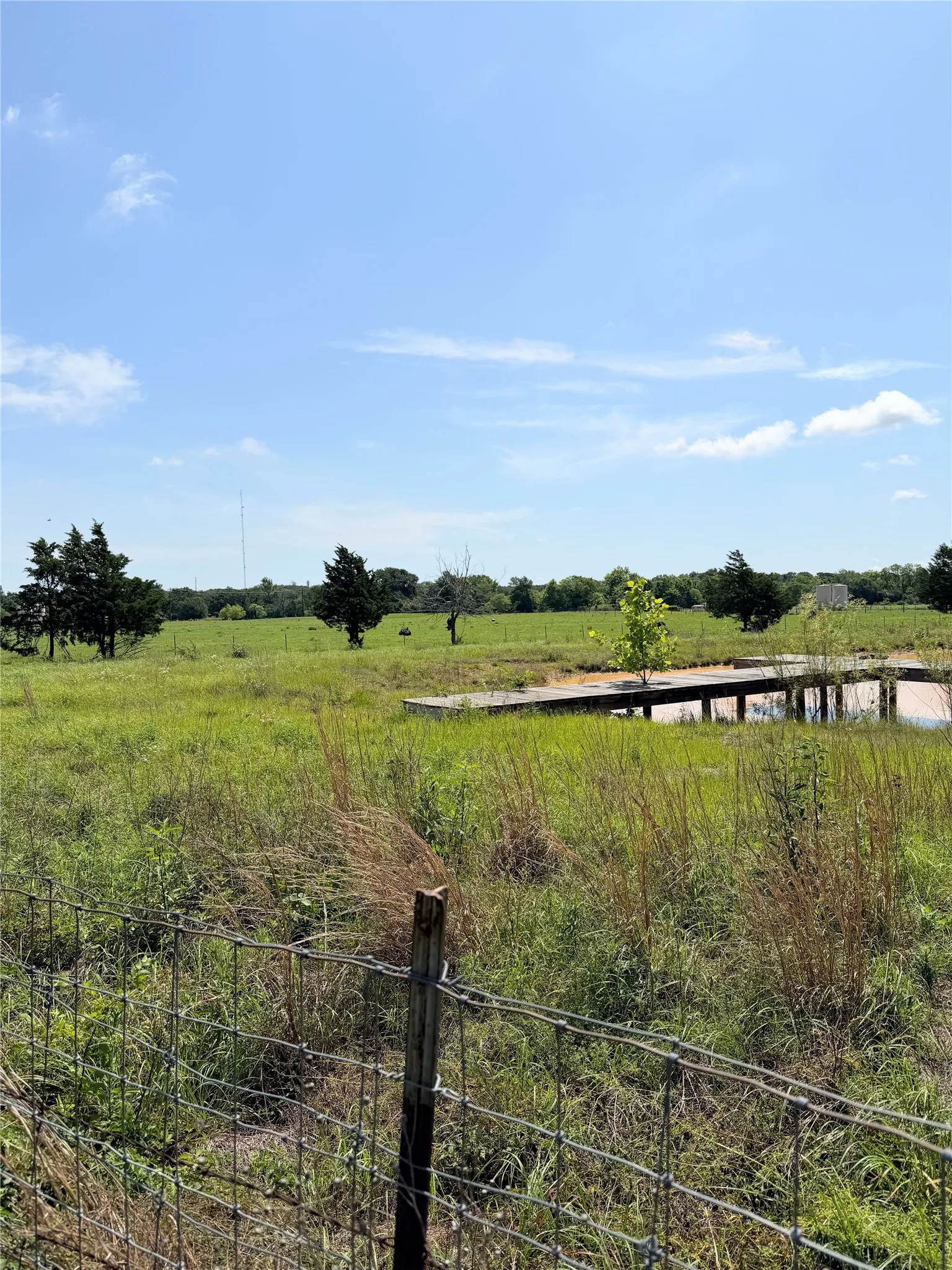 Unimproved Land For Sale in Limestone County , 3 Acres LCR 864, Jewett, Texas 75846, 0, 0, Garage spaces, 0 Sqft, built in 0, mls#21278968, Real Estate Agent in Jewett, Homes For Sale in Limestone county, Homes For Sale in Jewett, Realtor in Jewett Texas, Real Estate Brokerage Independent Realty Texas, Luminita Cordes Realtor