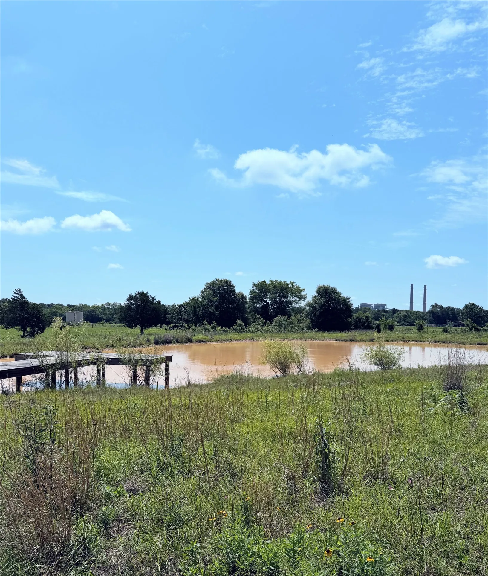 Unimproved Land For Sale in Limestone County , 3 Acres LCR 864, Jewett, Texas 75846, 0, 0, Garage spaces, 0 Sqft, built in 0, mls#21278968, Real Estate Agent in Jewett, Homes For Sale in Limestone county, Homes For Sale in Jewett, Realtor in Jewett Texas, Real Estate Brokerage Independent Realty Texas, Luminita Cordes Realtor