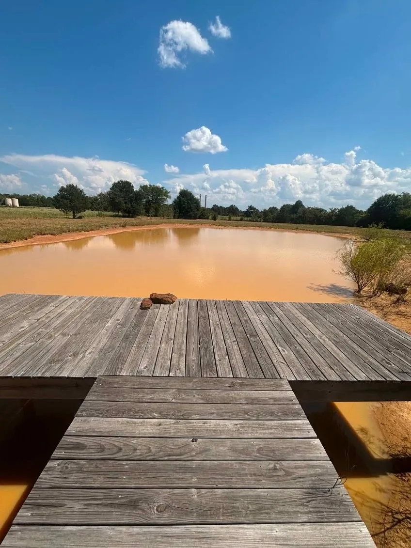 Unimproved Land For Sale in Limestone County , 3 Acres LCR 864, Jewett, Texas 75846, 0, 0, Garage spaces, 0 Sqft, built in 0, mls#21278968, Real Estate Agent in Jewett, Homes For Sale in Limestone county, Homes For Sale in Jewett, Realtor in Jewett Texas, Real Estate Brokerage Independent Realty Texas, Luminita Cordes Realtor
