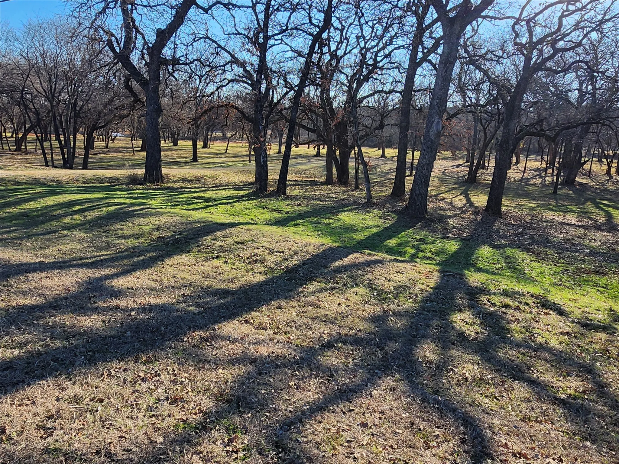 Unimproved Land For Sale in Montague County , 5 Vista Court, Nocona, Texas 76255, 0, 0, Garage spaces, 0 Sqft, built in 1900, Price $299,900, mls#21278411, Real Estate Agent in Nocona, Homes For Sale in Montague county, Homes For Sale in Nocona, Realtor in Nocona Texas, Real Estate Brokerage Independent Realty Texas, Luminita Cordes Realtor