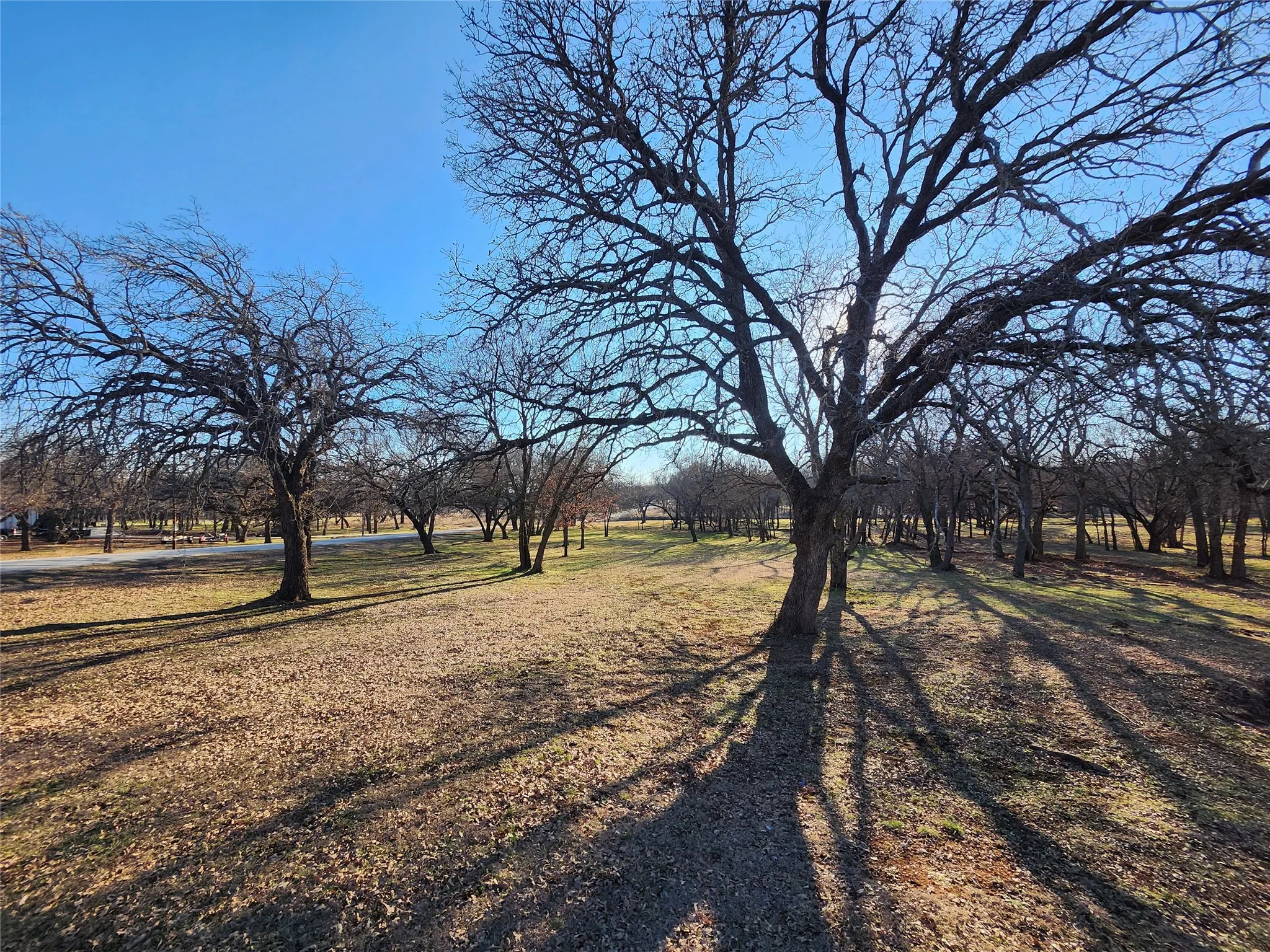 Unimproved Land For Sale in Montague County , 5 Vista Court, Nocona, Texas 76255, 0, 0, Garage spaces, 0 Sqft, built in 1900, Price $299,900, mls#21278411, Real Estate Agent in Nocona, Homes For Sale in Montague county, Homes For Sale in Nocona, Realtor in Nocona Texas, Real Estate Brokerage Independent Realty Texas, Luminita Cordes Realtor