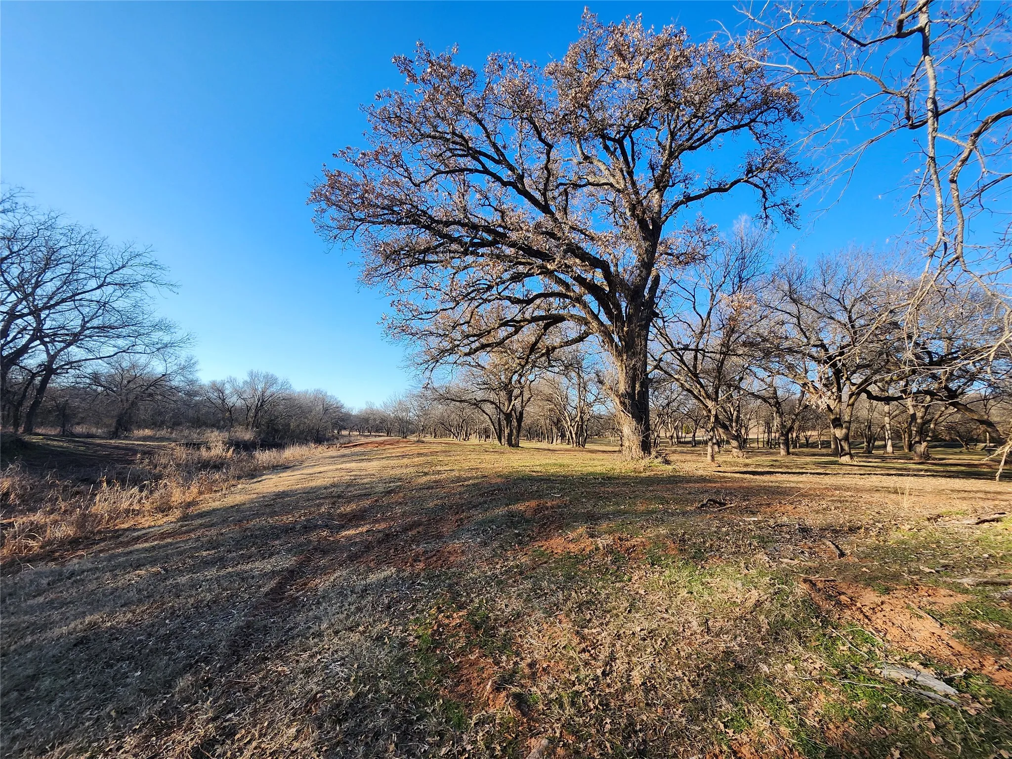 Unimproved Land For Sale in Montague County , 5 Vista Court, Nocona, Texas 76255, 0, 0, Garage spaces, 0 Sqft, built in 1900, Price $299,900, mls#21278411, Real Estate Agent in Nocona, Homes For Sale in Montague county, Homes For Sale in Nocona, Realtor in Nocona Texas, Real Estate Brokerage Independent Realty Texas, Luminita Cordes Realtor
