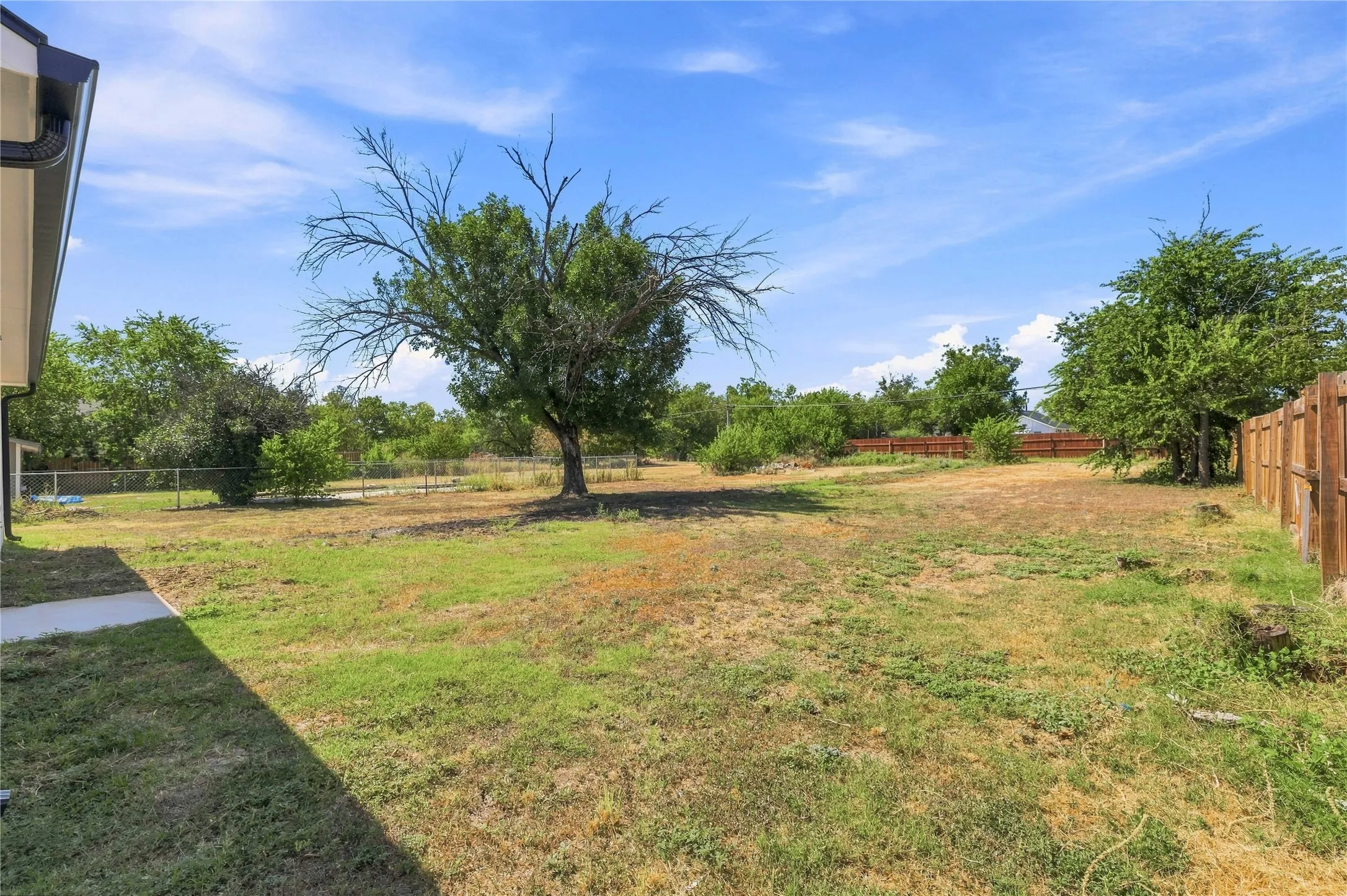 Expansive backyard with a mix of grass and natural ground cover, featuring mature trees and a wooden privacy fence