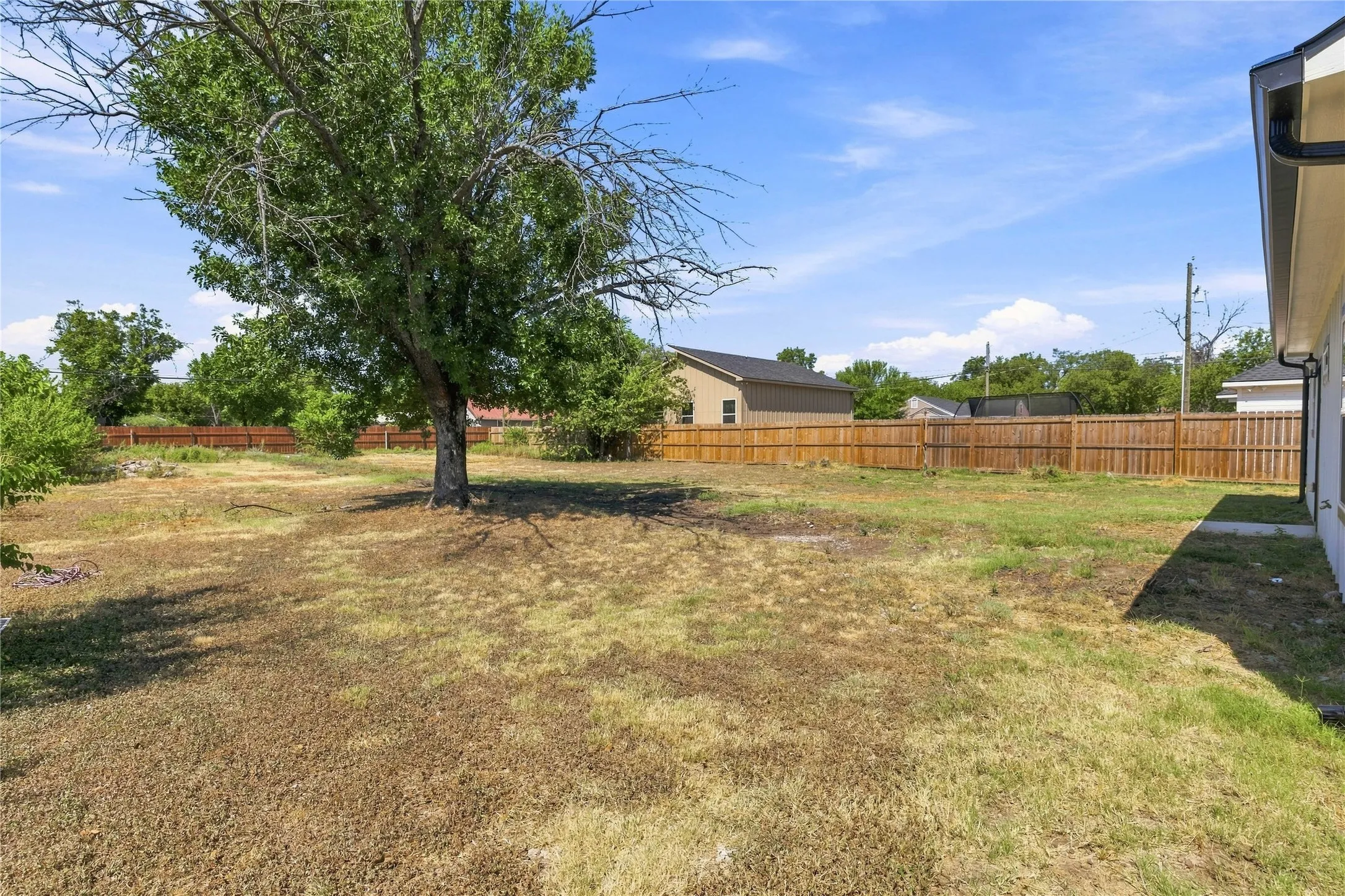 Expansive backyard featuring a mature tree, wooden privacy fencing, and a concrete perimeter