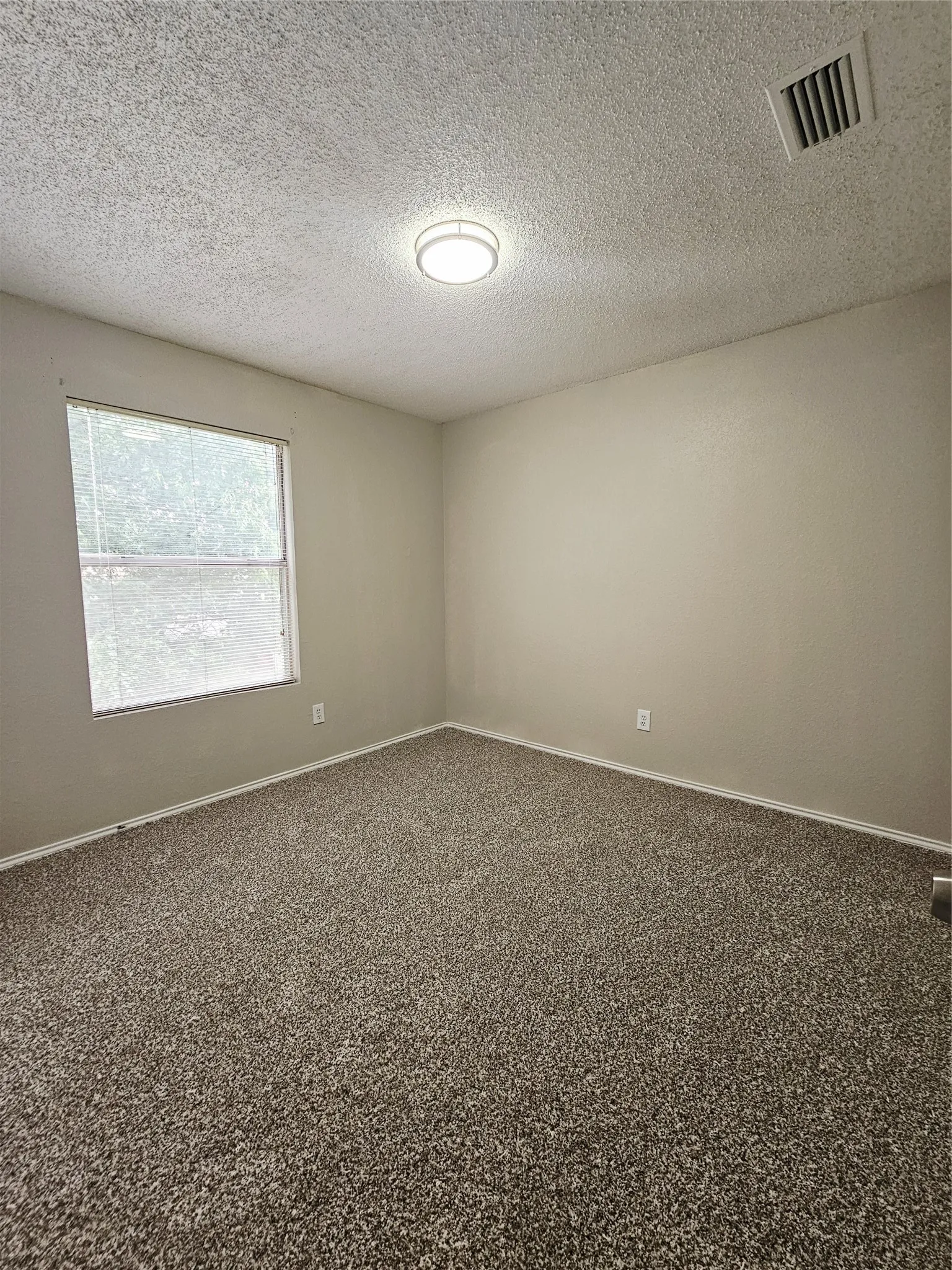 Interior room featuring neutral wall tones and textured carpeting