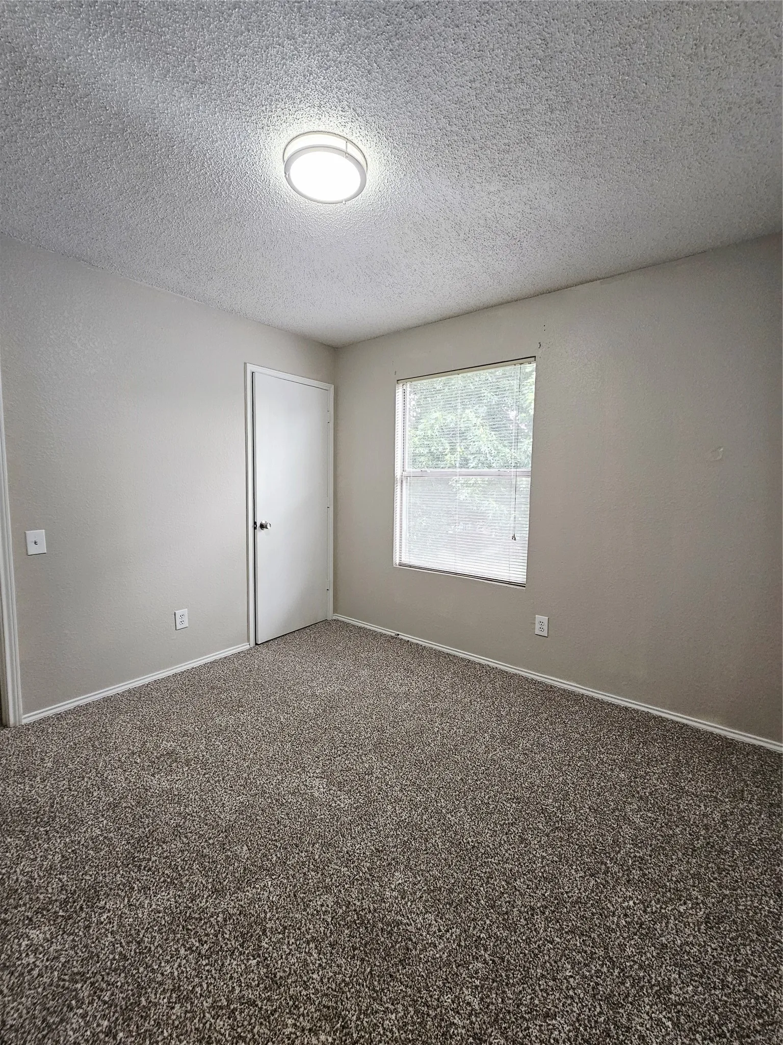 Neutral-toned walls complement the textured carpet flooring
