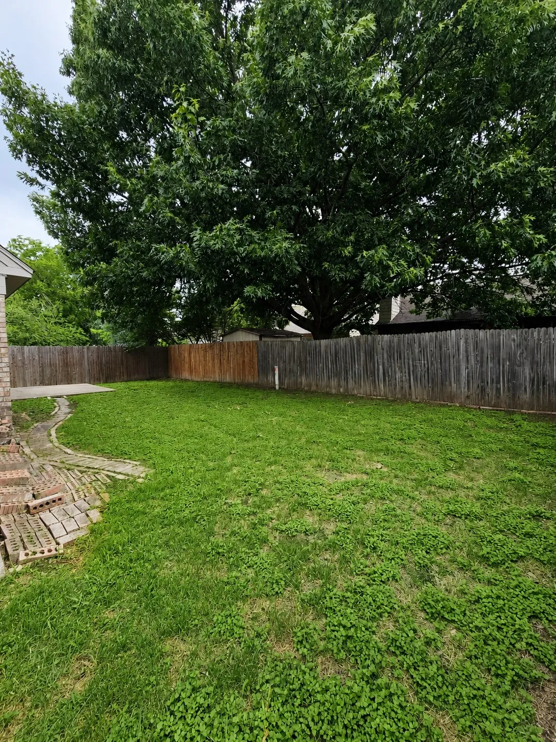 Expansive backyard featuring a lush lawn, mature shade tree, and wood privacy fencing