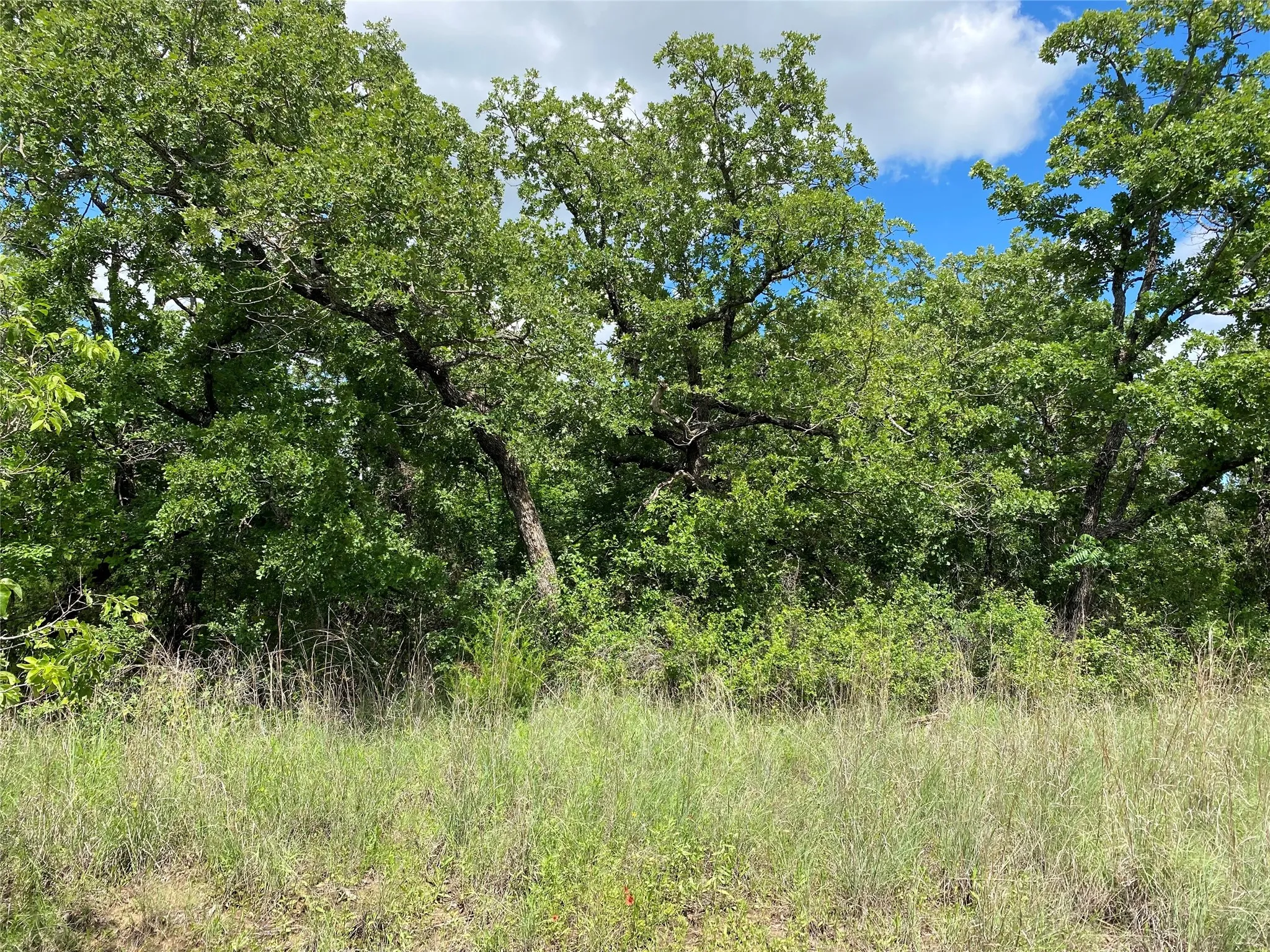 Unimproved Land For Sale in Montague County , 106 Hondo Drive, Nocona, Texas 76255, 0, 0, Garage spaces, 0 Sqft, built in 0, Price $85,000, mls#21279319, Real Estate Agent in Nocona, Homes For Sale in Montague county, Homes For Sale in Nocona, Realtor in Nocona Texas, Real Estate Brokerage Independent Realty Texas, Luminita Cordes Realtor