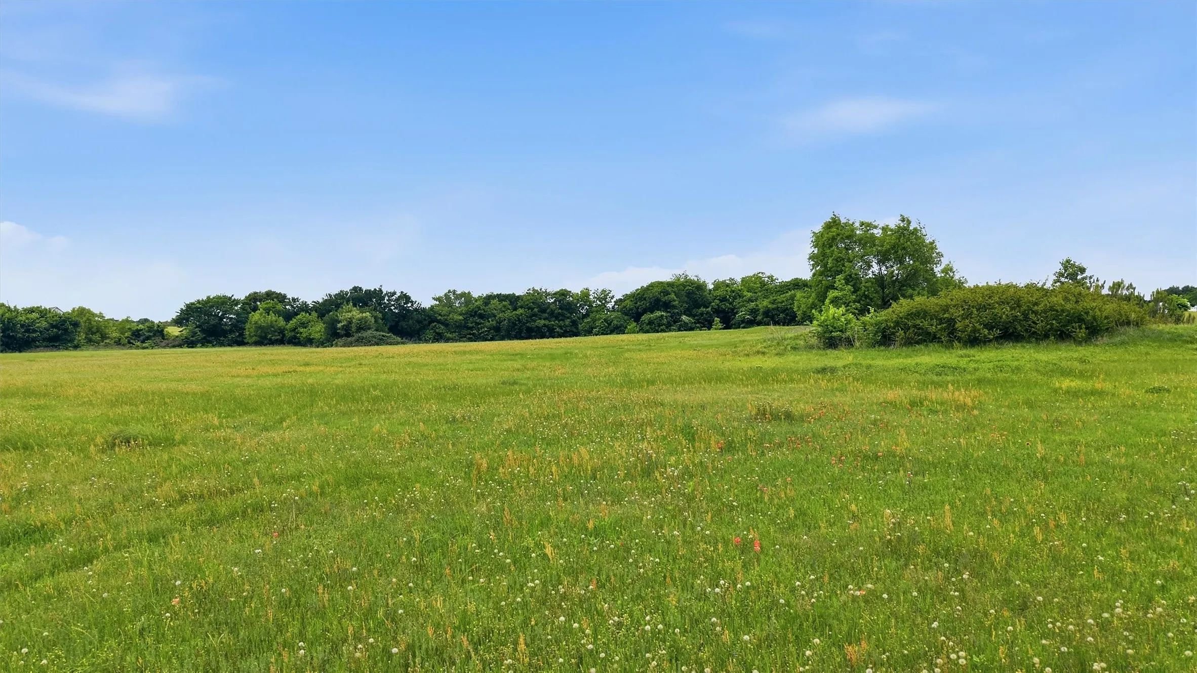 Unimproved Land For Sale in Denton County , TBD New Hope Road, Aubrey, Texas 76227, 0, 0, Garage spaces, 0 Sqft, built in 0, mls#21279104, Real Estate Agent in Aubrey, Homes For Sale in Denton county, Homes For Sale in Aubrey, Realtor in Aubrey Texas, Real Estate Brokerage Independent Realty Texas, Luminita Cordes Realtor