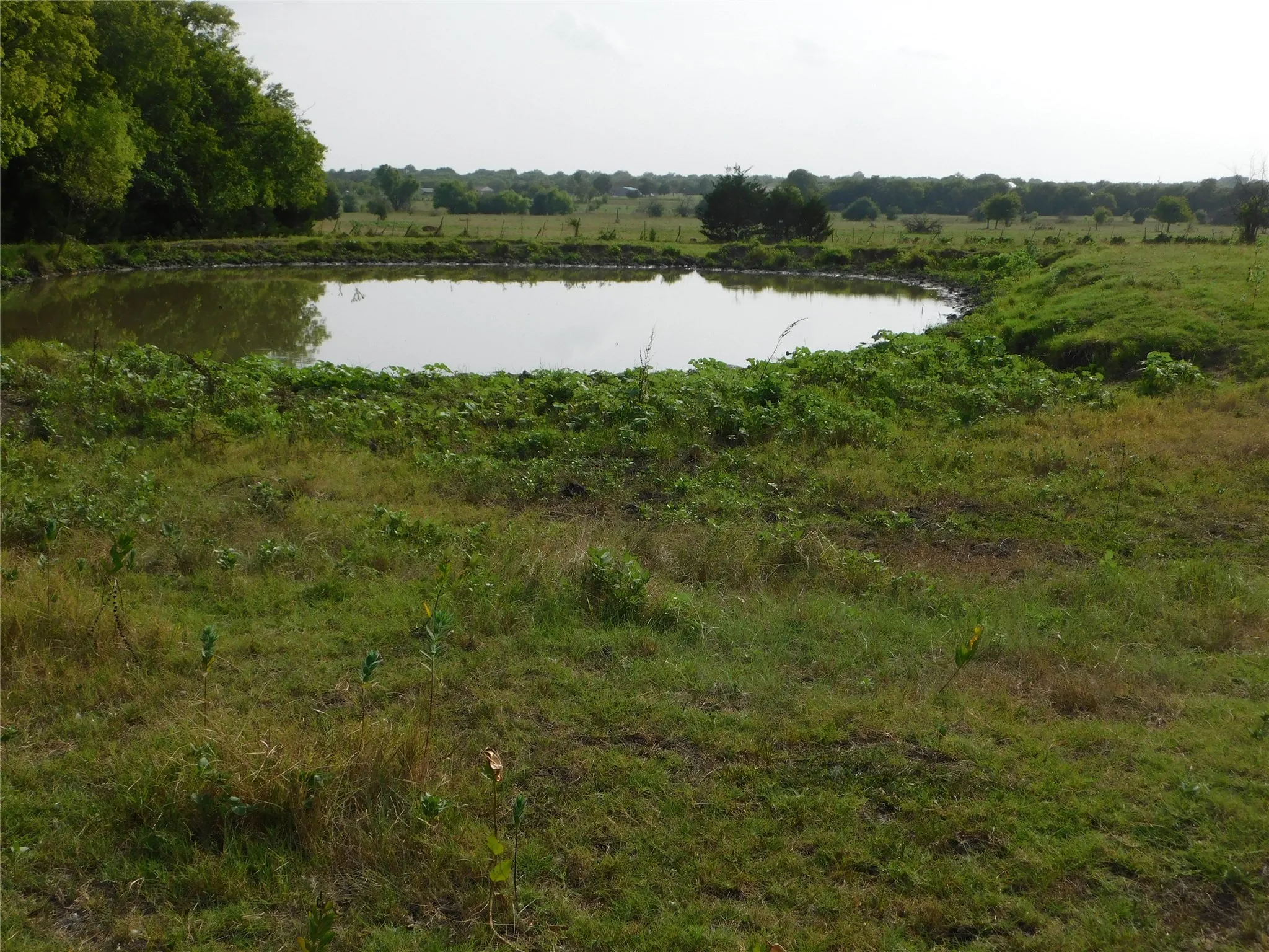 Improved Land For Sale in Hunt County , TBD Fm-272, Celeste, Texas 75423, 0, 0, Garage spaces, 0 Sqft, built in 0, Price $450,000, mls#21279371, Real Estate Agent in Celeste, Homes For Sale in Hunt county, Homes For Sale in Celeste, Realtor in Celeste Texas, Real Estate Brokerage Independent Realty Texas, Luminita Cordes Realtor